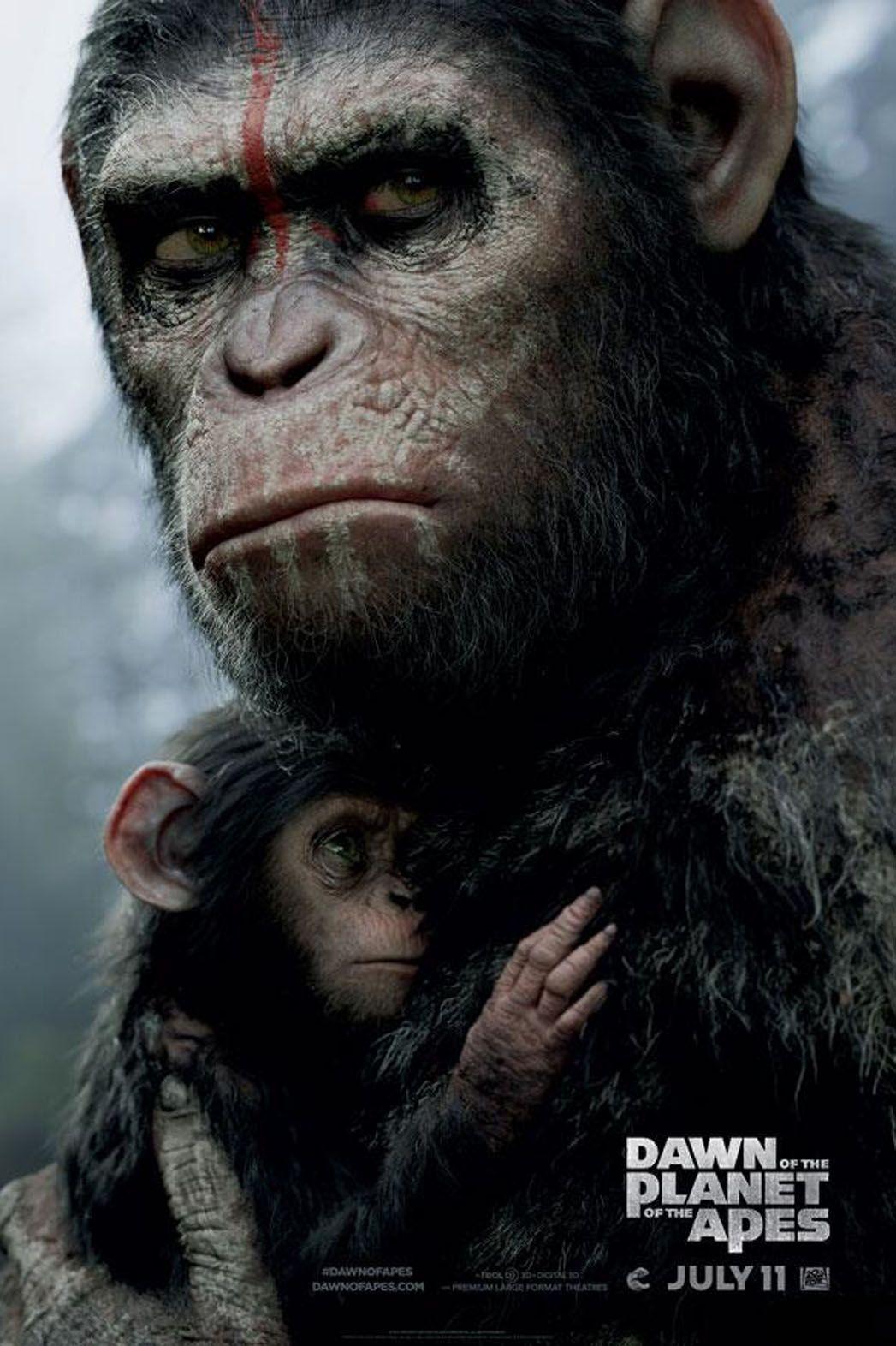1047x1572 Dawn Of The Planet Of The Apes wallpaper, Movie, HQ Dawn Of