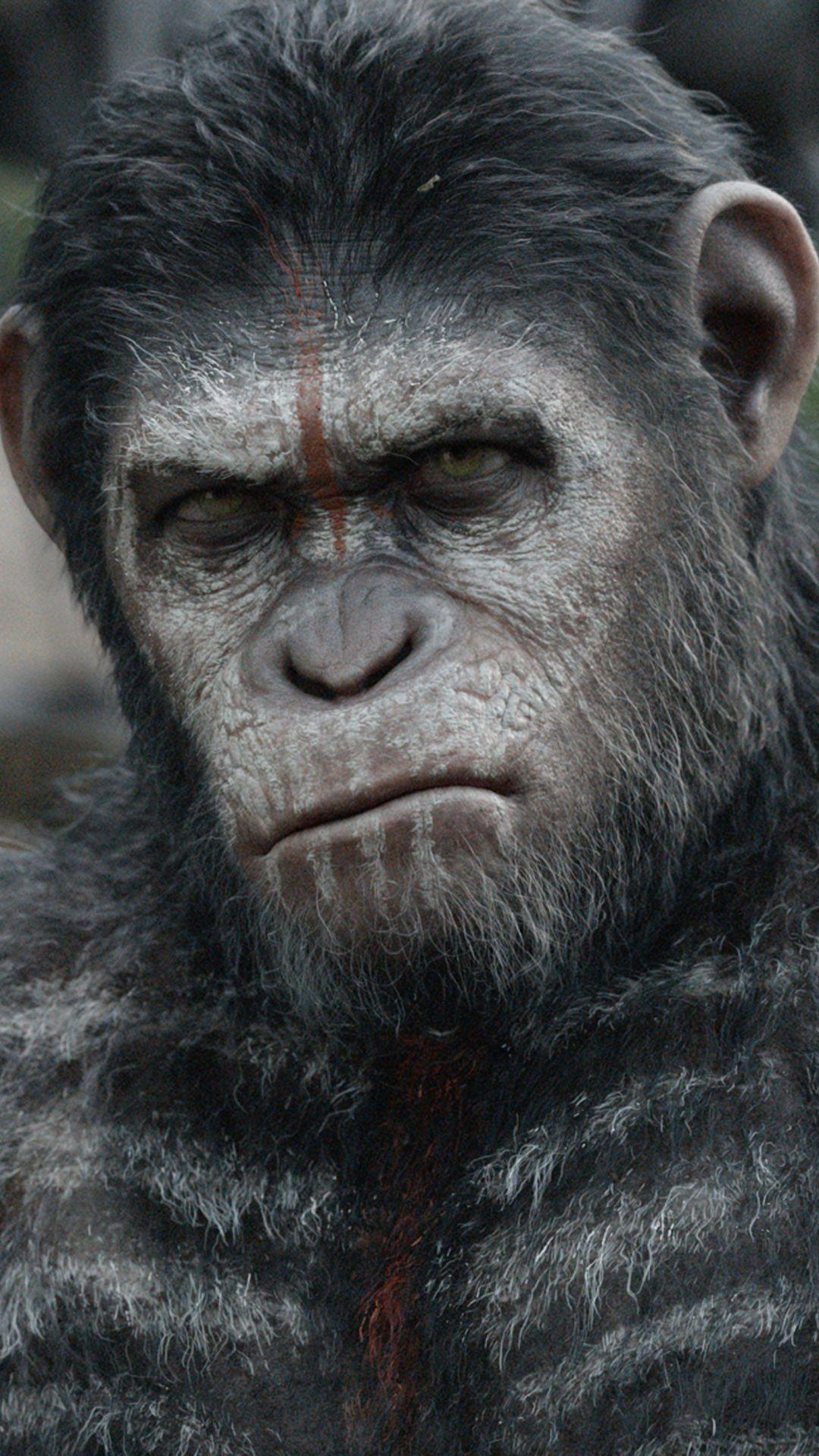 1080x1920 Movie Dawn Of The Planet Of The Apes (1080x1920)