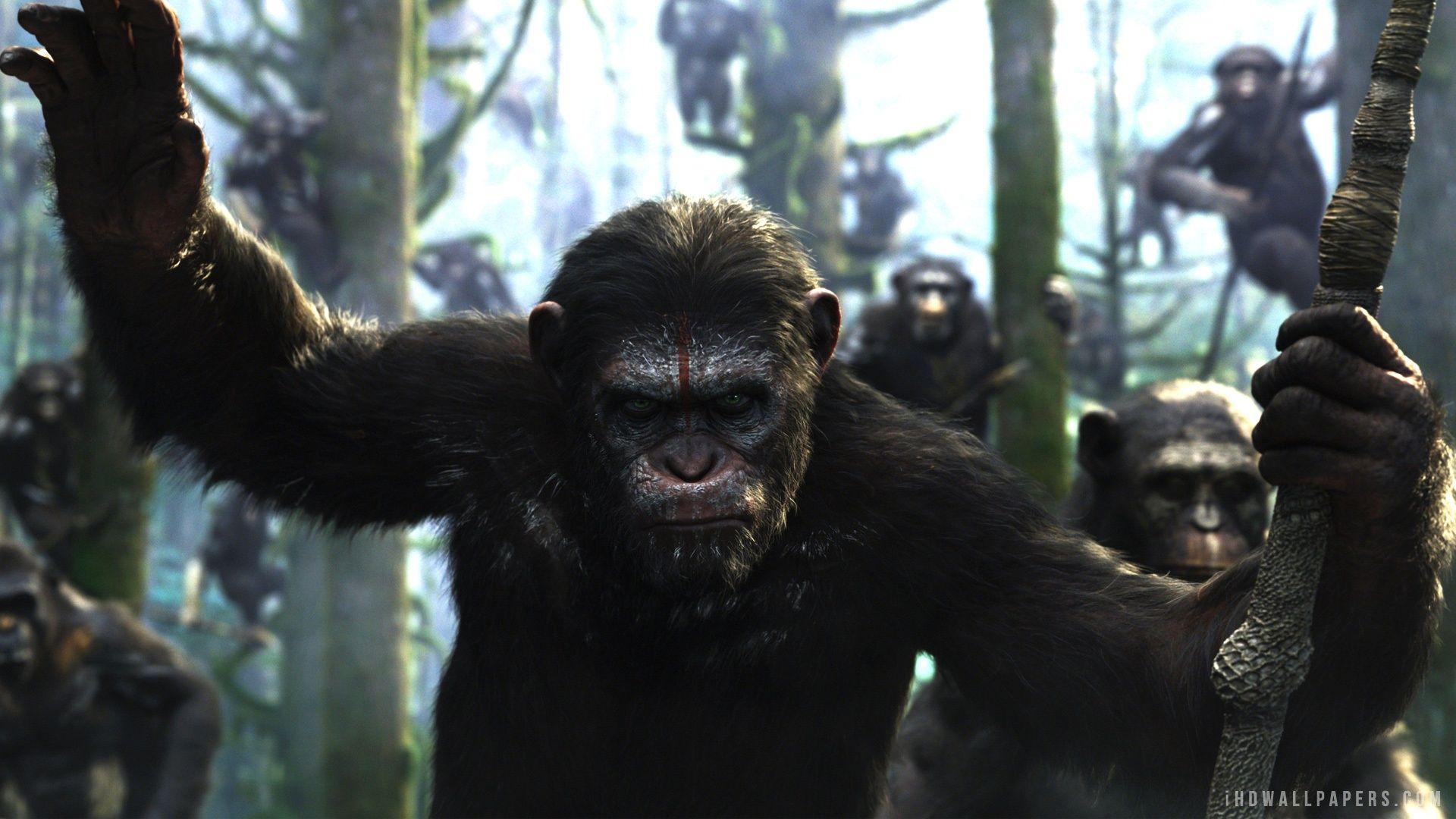 1920x1080 Free download Dawn of the Planet of the Apes HD Wallpaper iHD