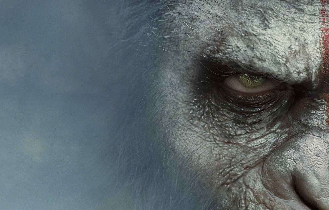 1332x850 Wallpaper Movie, Dawn Of The Planet Of The Apes, Dawn Of