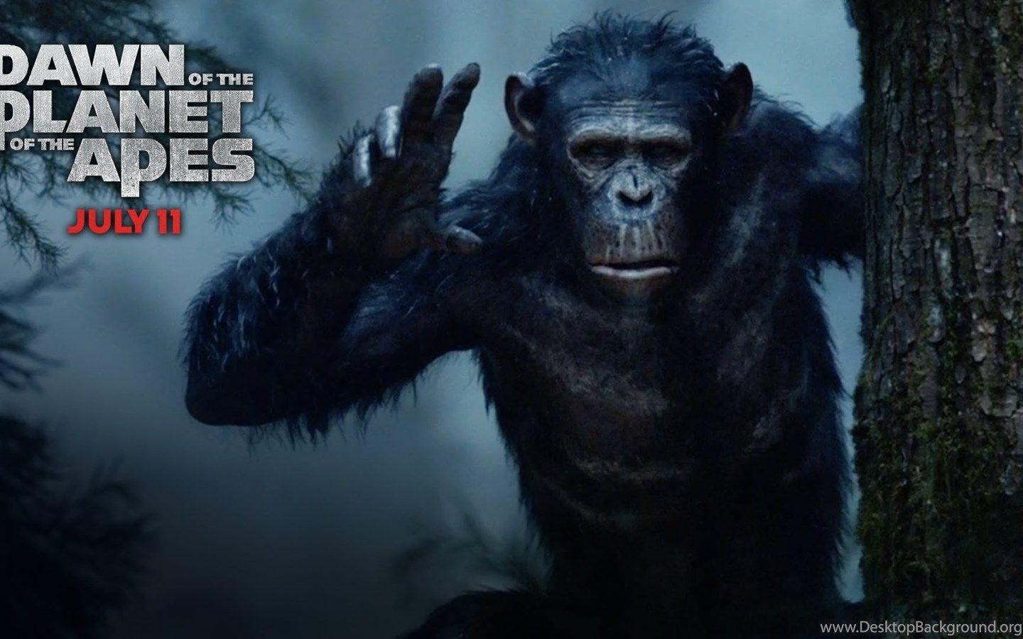 Dawn of the Planet of the Apes Wallpapers - Top Free Dawn of the Planet ...