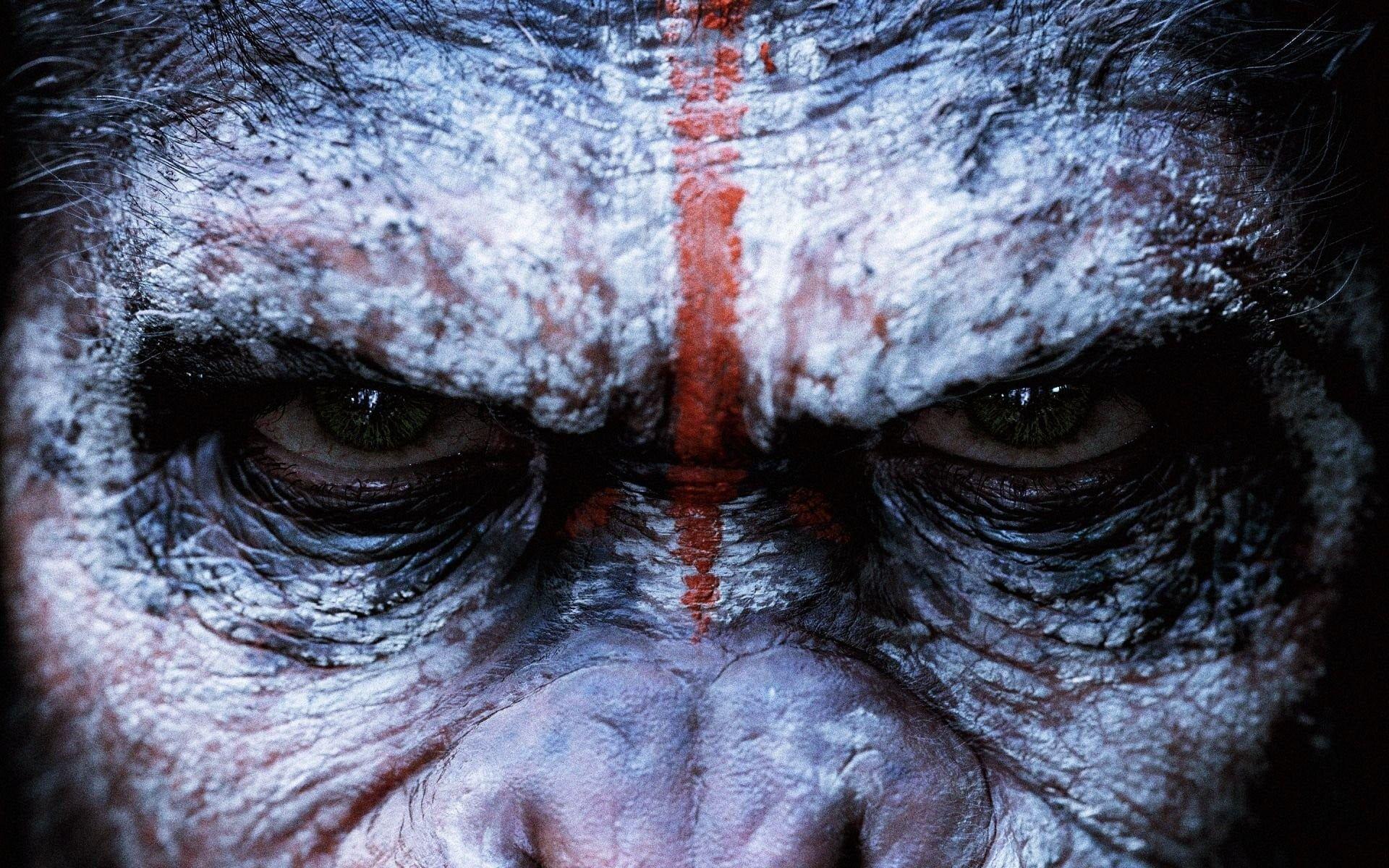 1920x1200 Monkey face, Dawn of the Planet of the Apes, Planet of the Apes