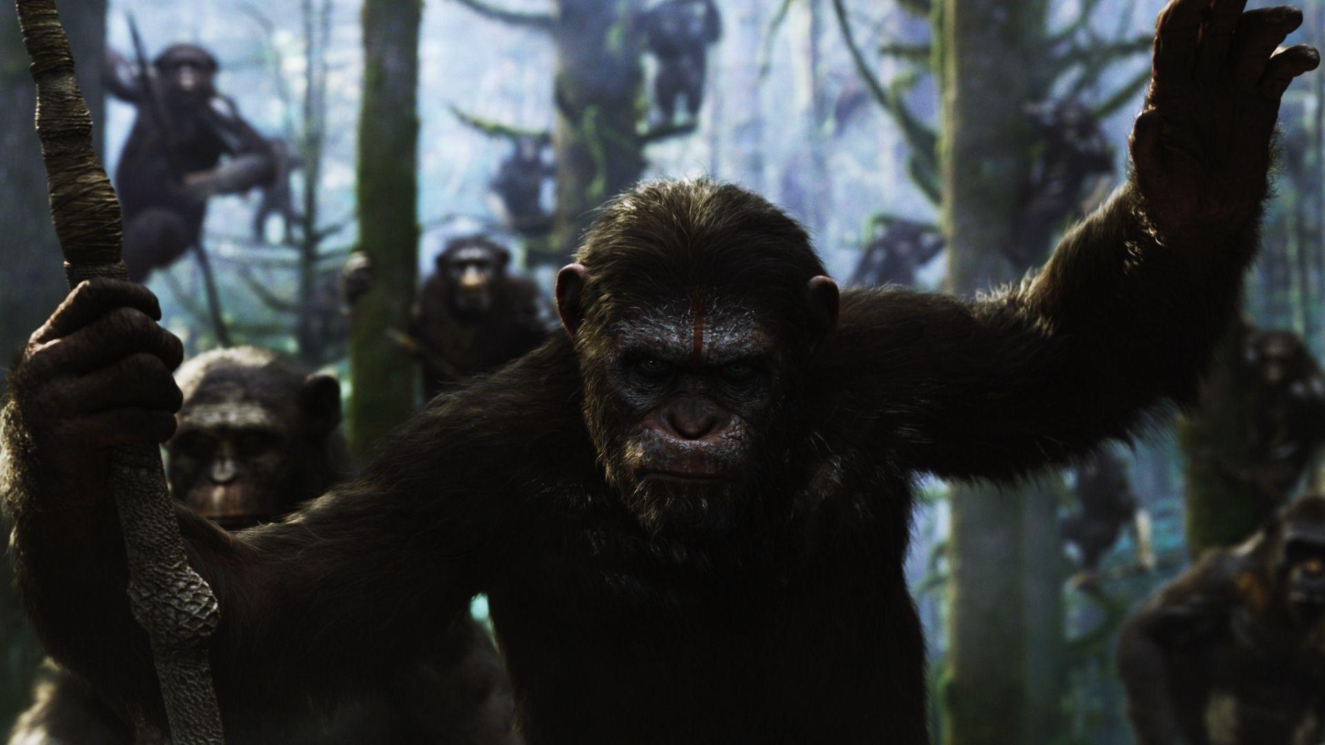 1920x1080 Dawn of the Planet of the Apes wallpaper 1