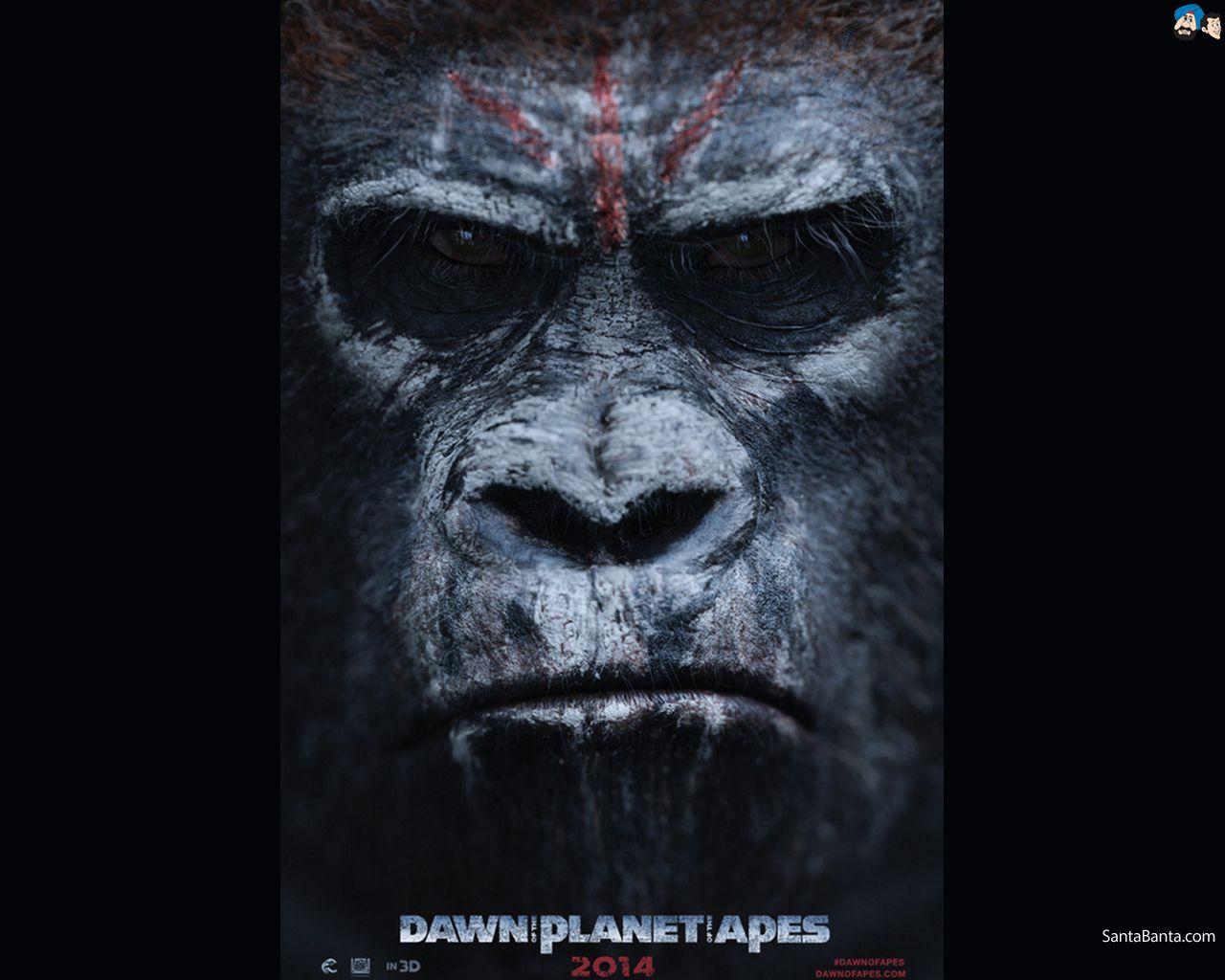 1280x1024 Dawn Of The Planet Of The Apes Movie Wallpaper