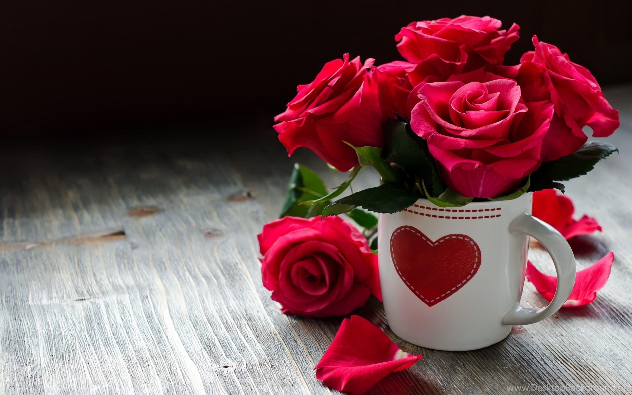 2560x1600 Rose Diseases Red Flowers Wallpaper For Desktop & Mobile Desktop