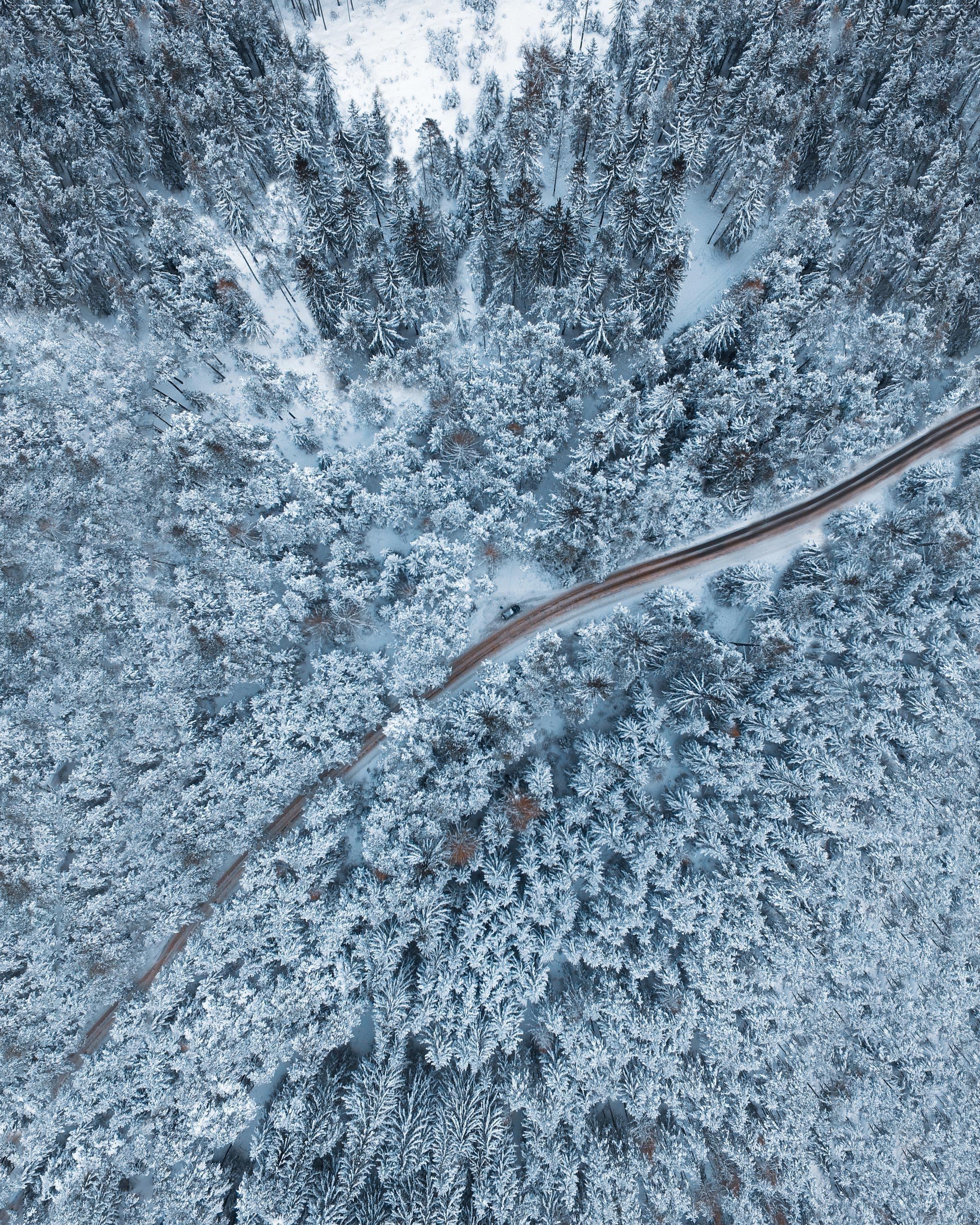 2400x3000 Download wallpaper 2400x3000 forest, winter, aerial view, snow