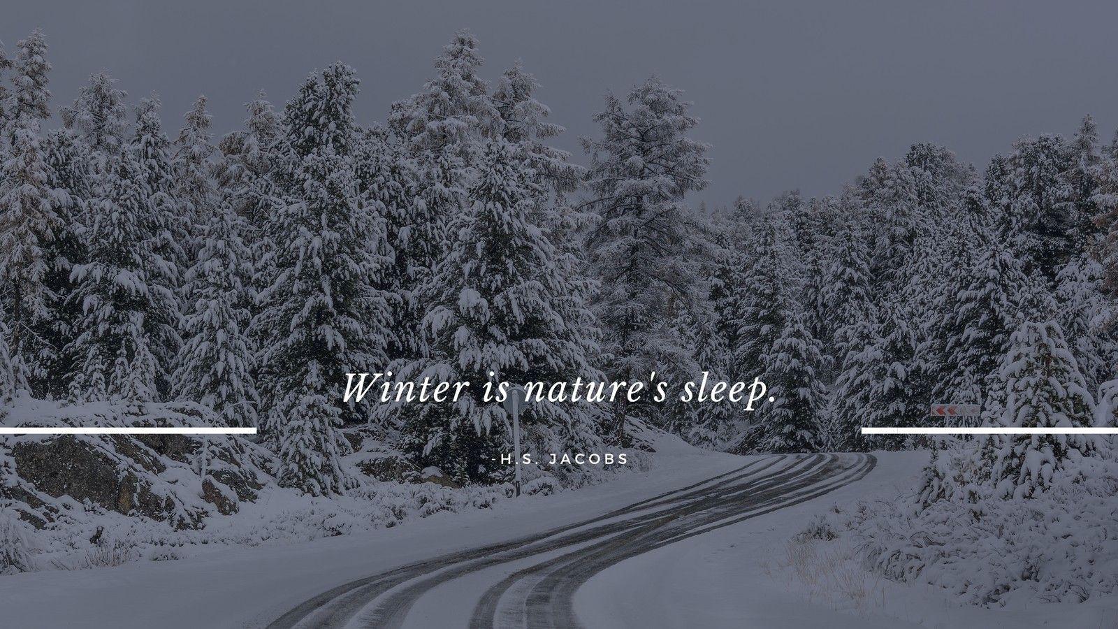 1600x900 Snowy Trees Winter Scenery Desktop Wallpaper