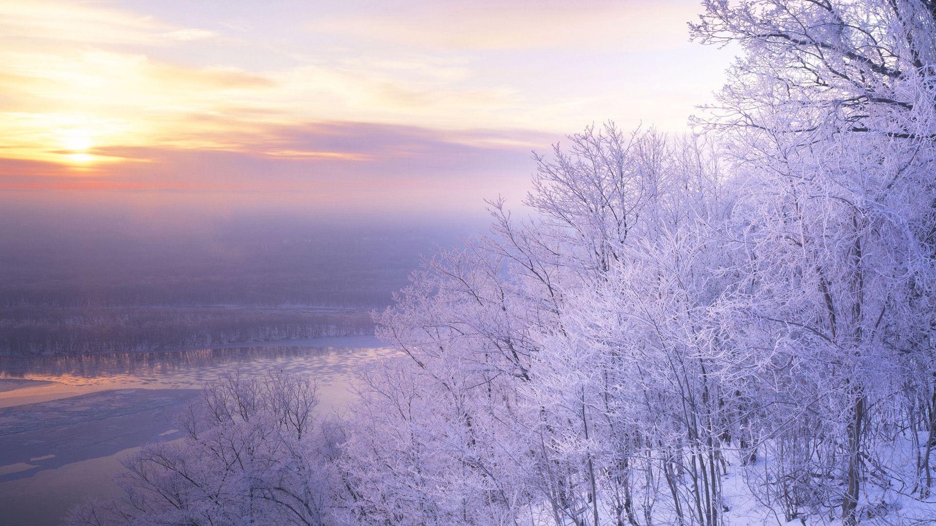 1920x1080 Pretty Snow On Trees