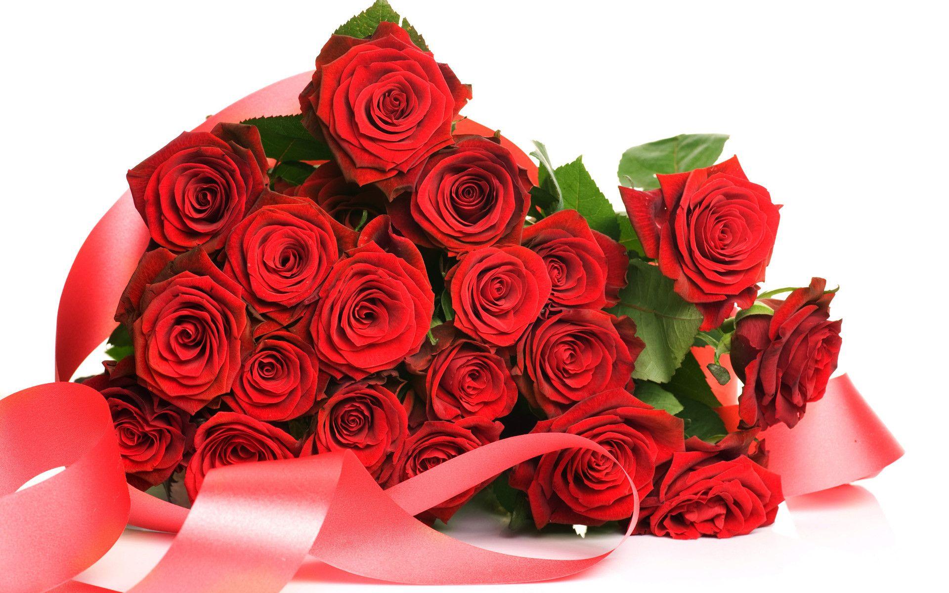 1920x1200 Red Roses Wallpaper for Desktop