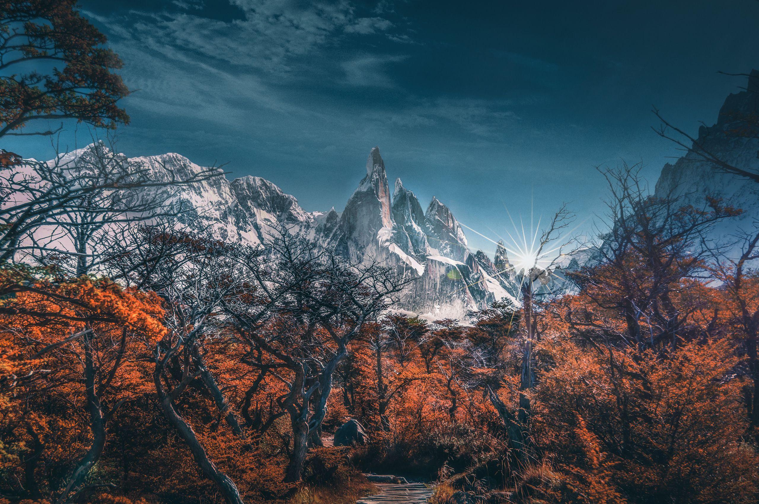 2560x1700 Snowy Mountains Trees Landscape 5k Chromebook Pixel HD