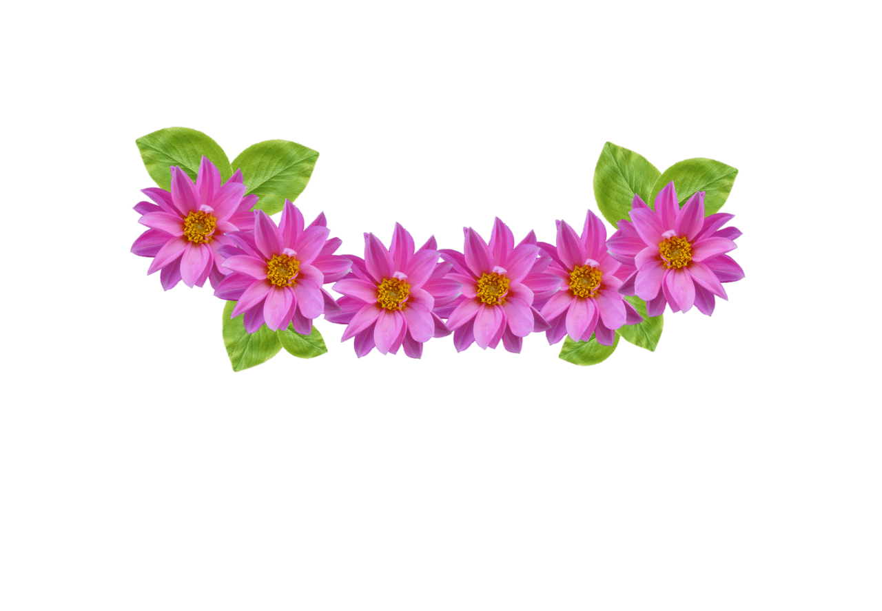 1280x887 Free Tumblr Flowers Transparent, Download Free Clip Art, Free Clip