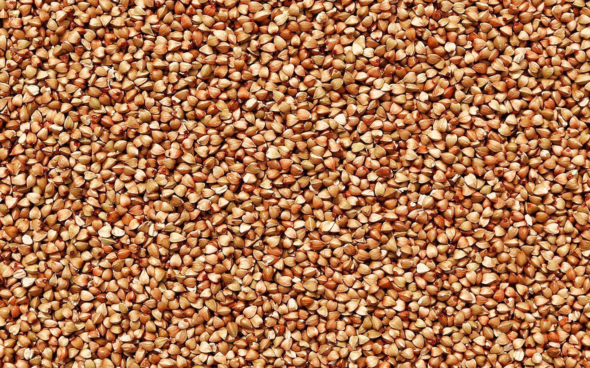 1920x1200 Download wallpaper buckwheat textures, macro, food textures