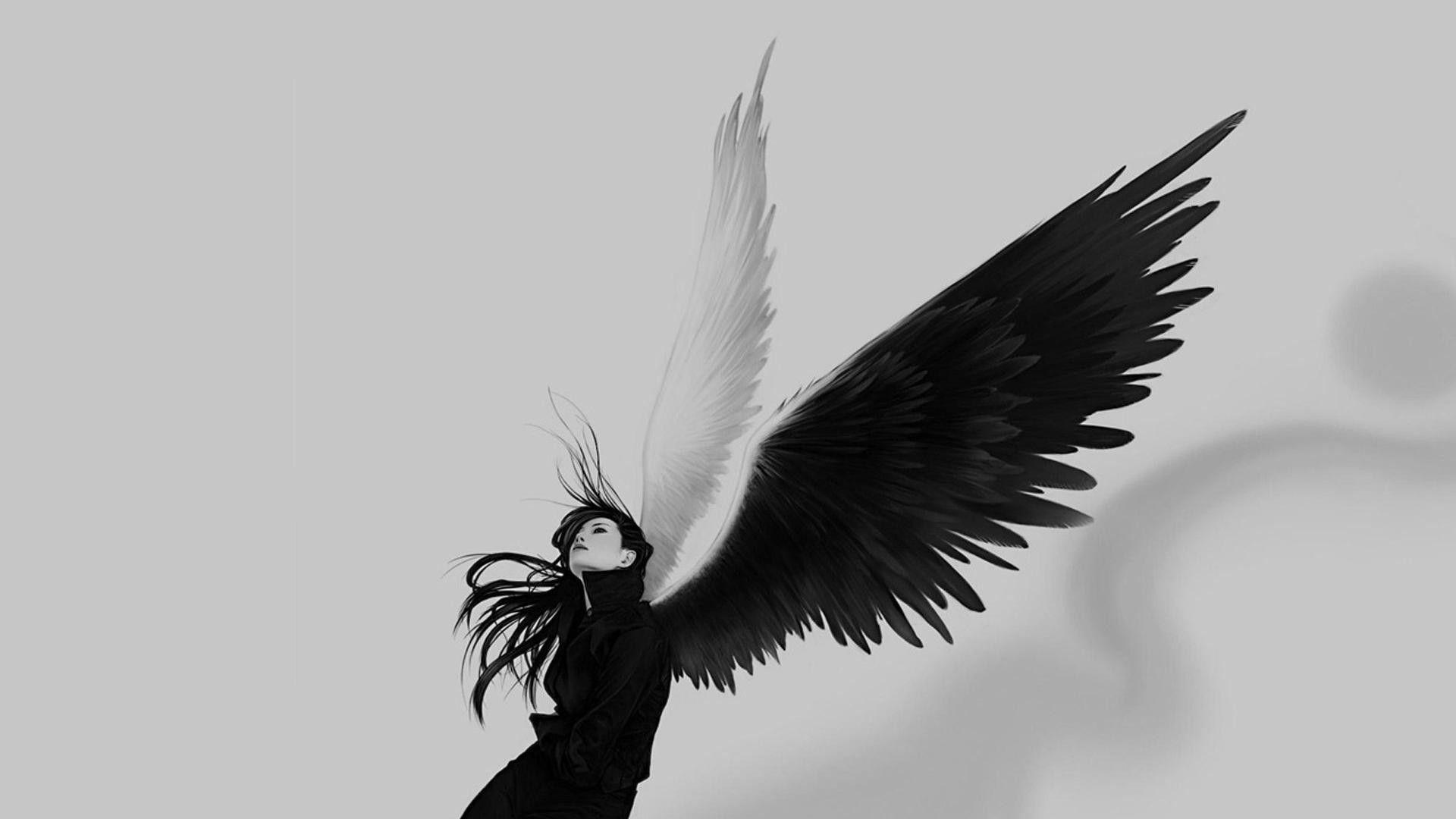 Black Wings Wallpapers Top Free Black Wings Backgrounds WallpaperAccess
