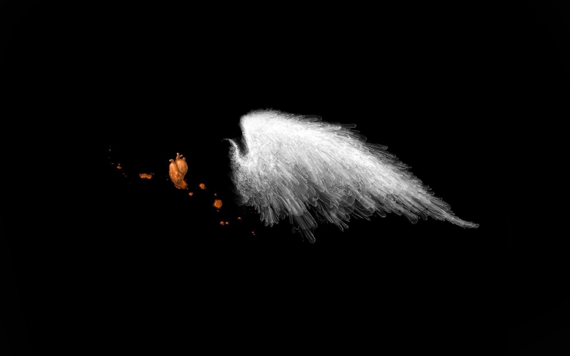 1920x1200 Wing Wallpaper