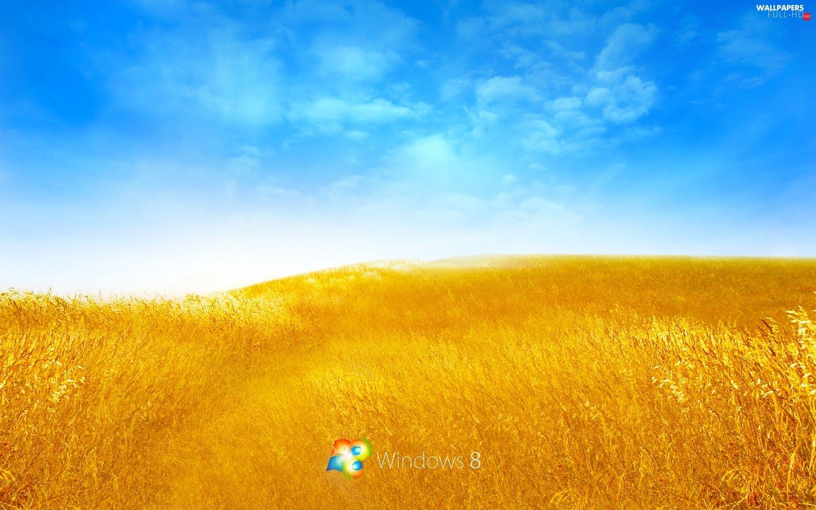 1680x1050 Windows Sky, Lany, logo, cereals HD Wallpaper: 1680x1050