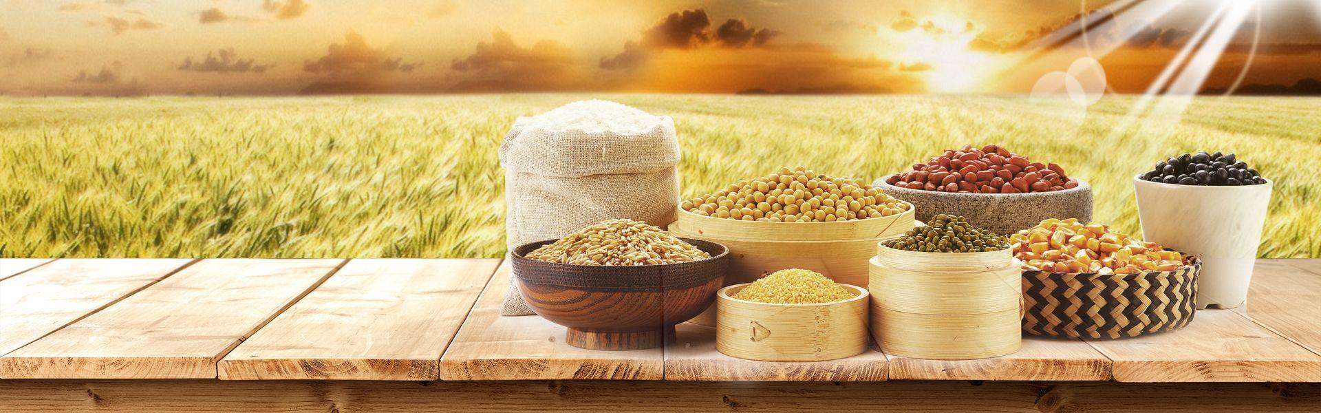 1920x600 Cereals Electricity Providers Warm Wheat Field Banner. Wheat