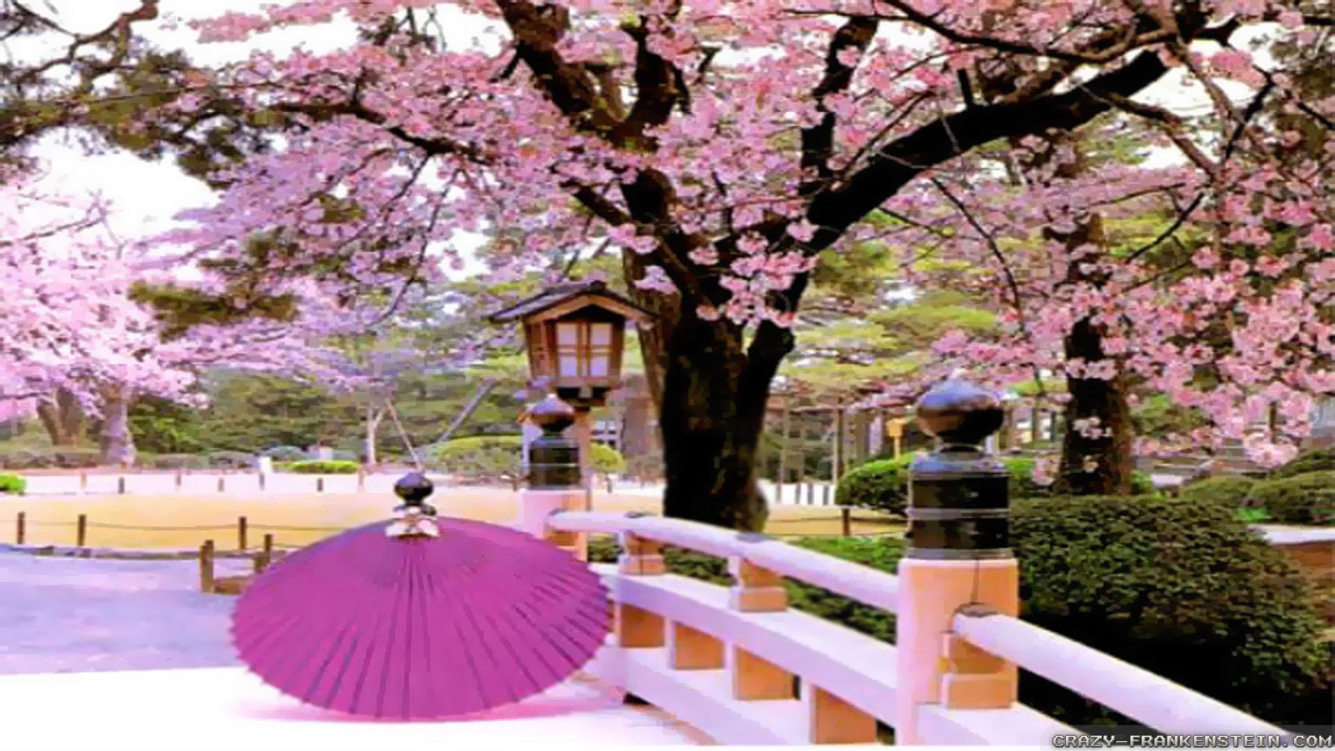 1920x1080 Japanese Autumn Wallpaper