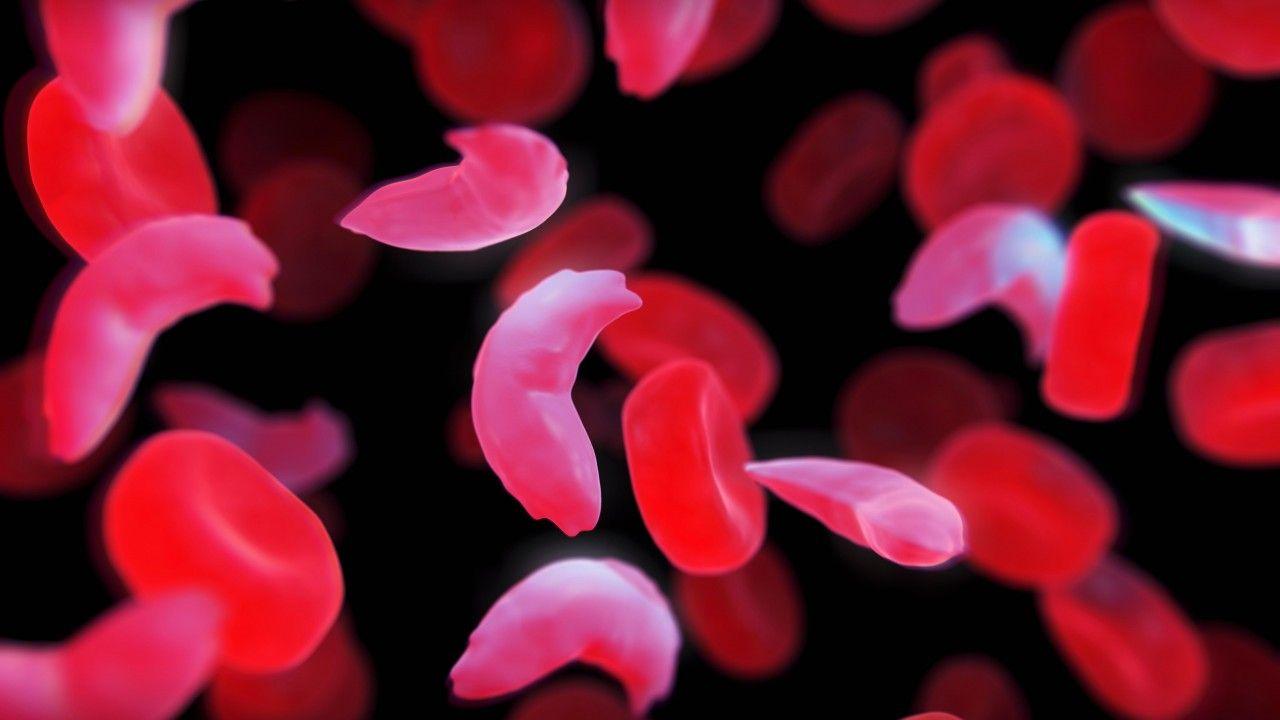 1280x720 Wallpaper Blood cells, HD, 4K, Creative Graphics
