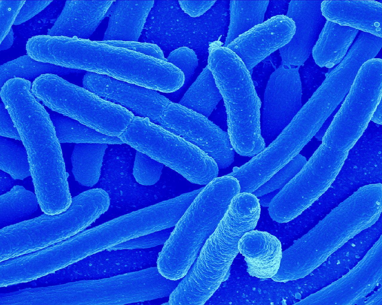 Microbes by CGKuba