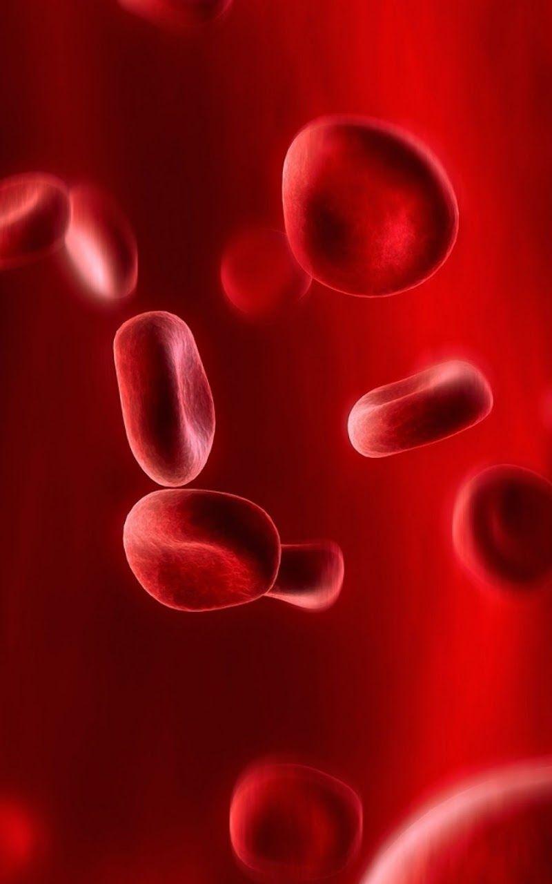 800x1280 Android Best Wallpaper: Red Blood Cells Android Best Wallpaper