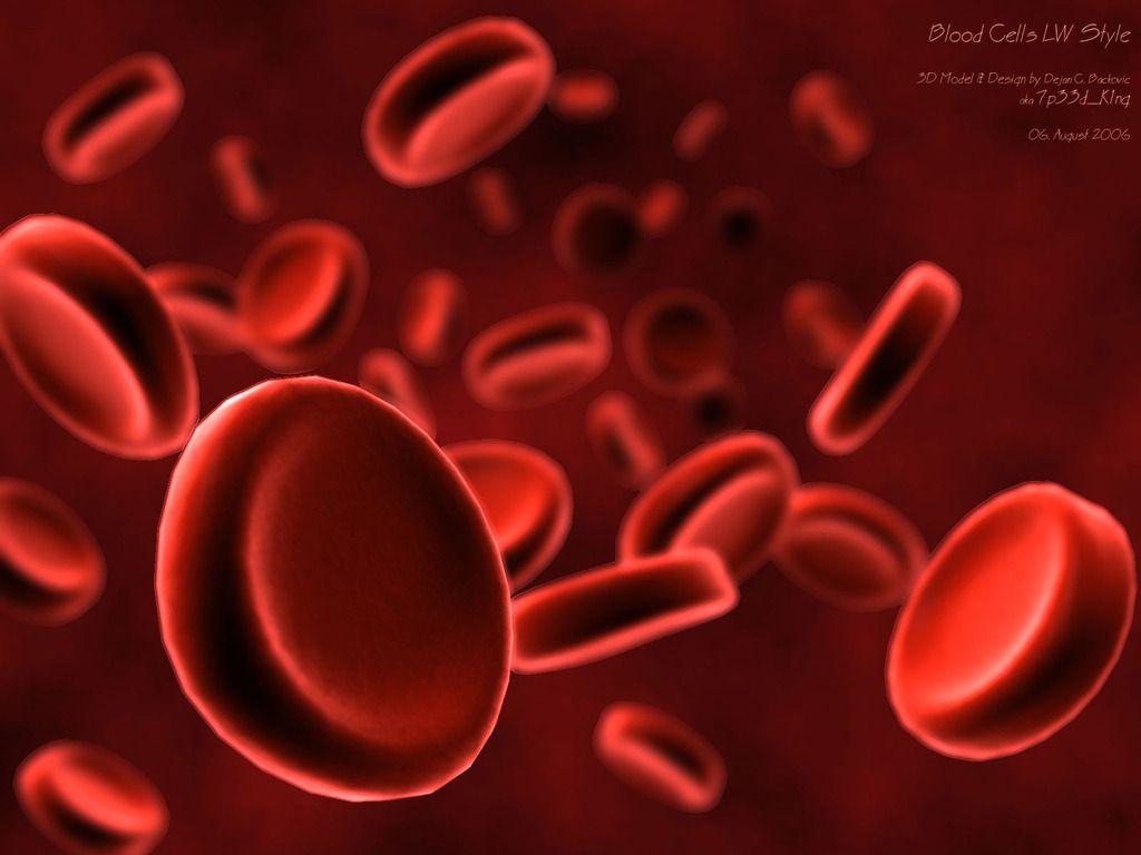 1024x768 Cells Wallpaper and Picture Collection