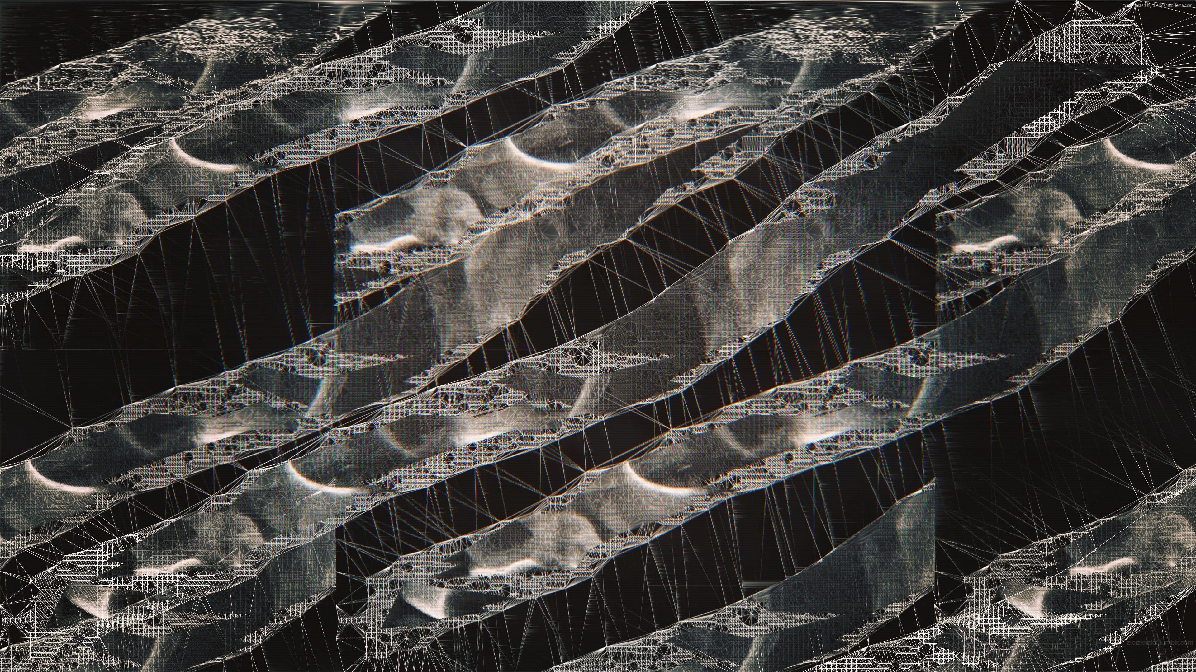 3840x2160 abstract microbes Wallpaper and Free. Visual