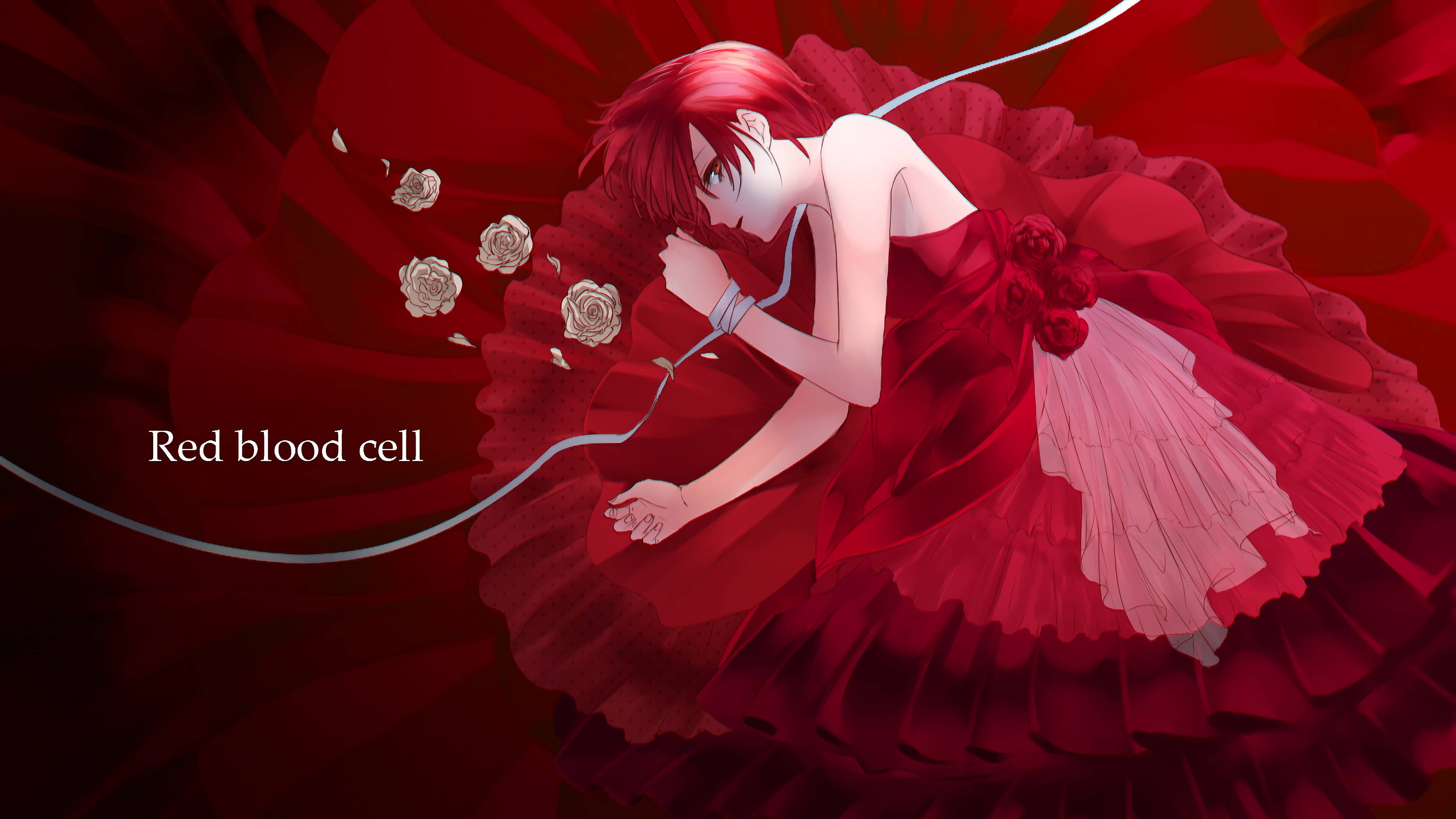 3840x2160 Red Blood Cell Cells at Work! Hataraku Saibou 4K