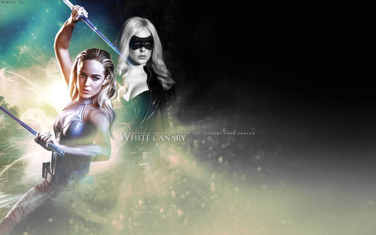White Canary Wallpapers Top Free White Canary Backgrounds Wallpaperaccess