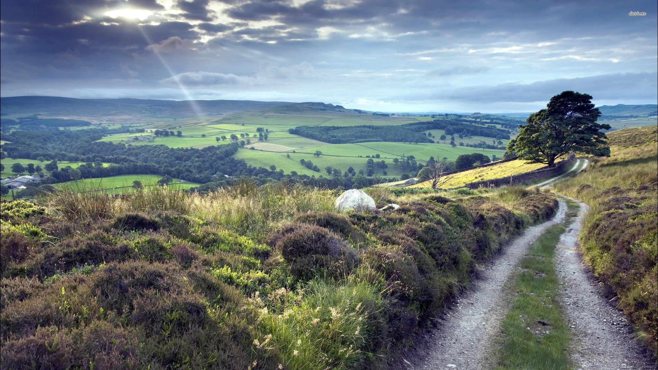 2560x1440 Hilltop wallpaperx1440