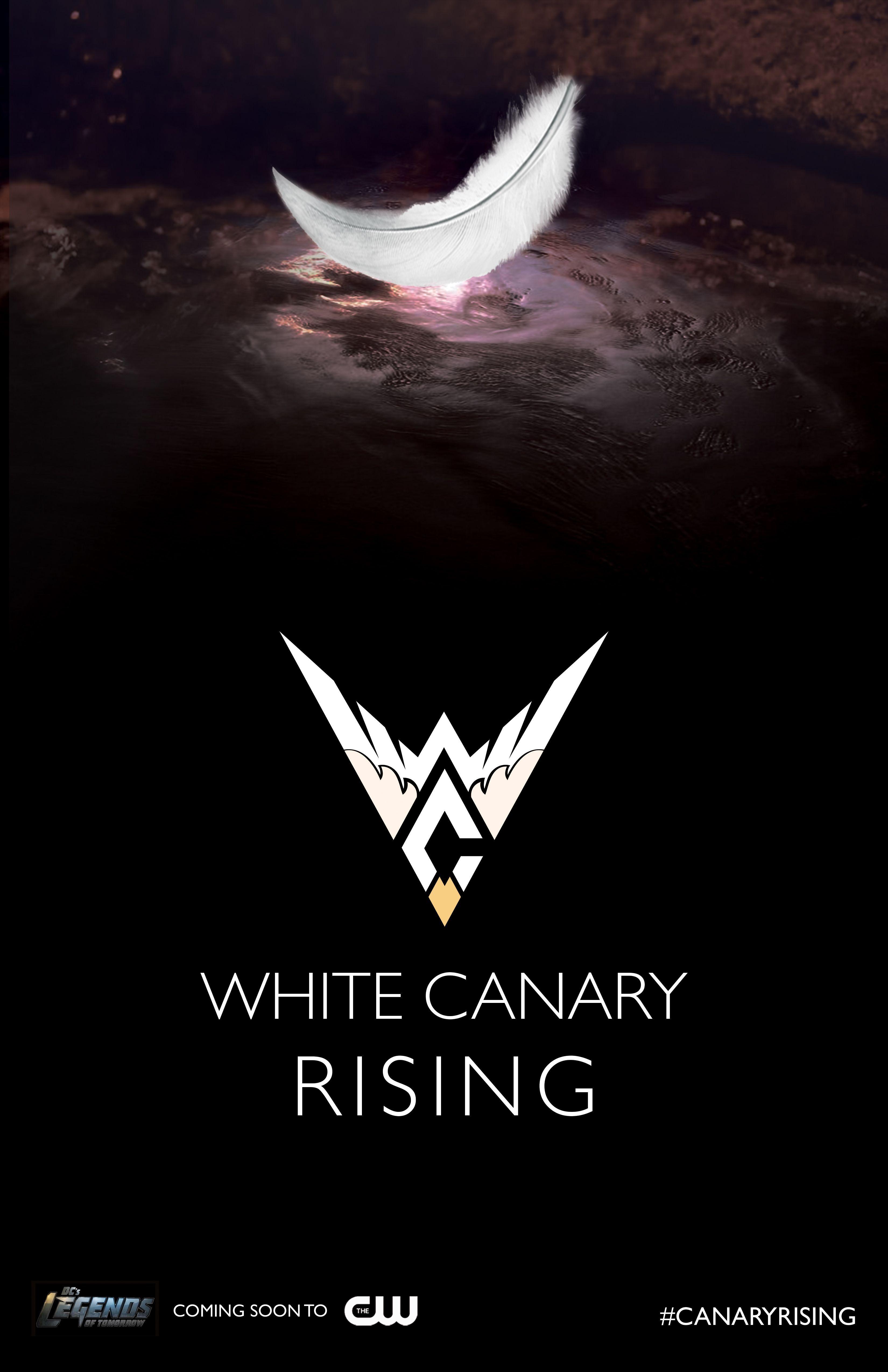 3300x5100 White Canary Logo Design