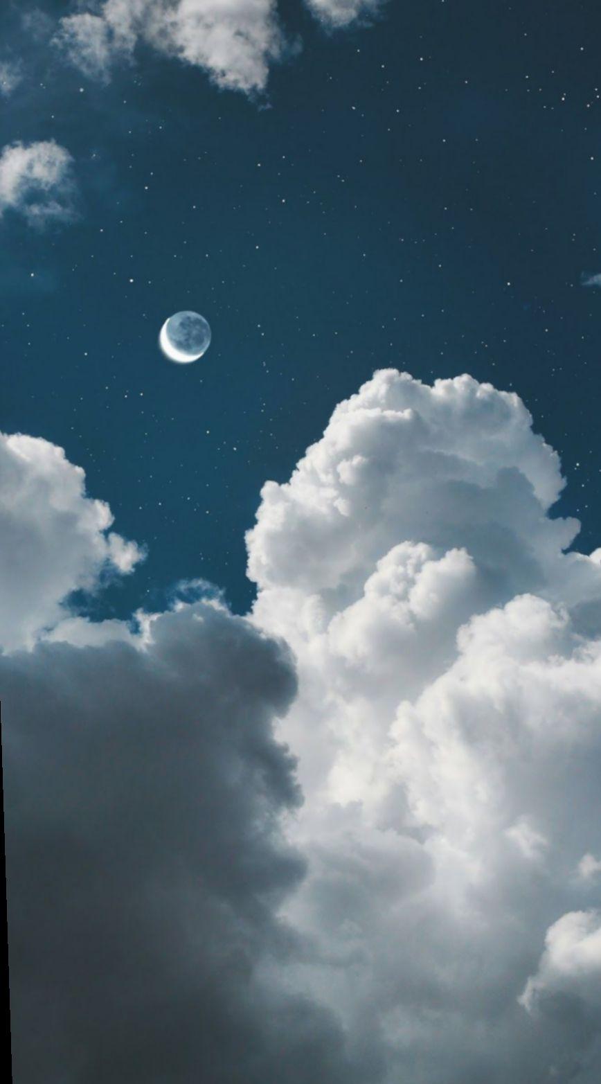 868x1565 Wallpaper Blue Aesthetic Sky #Animal #Dark #iPhone. Wallpaper