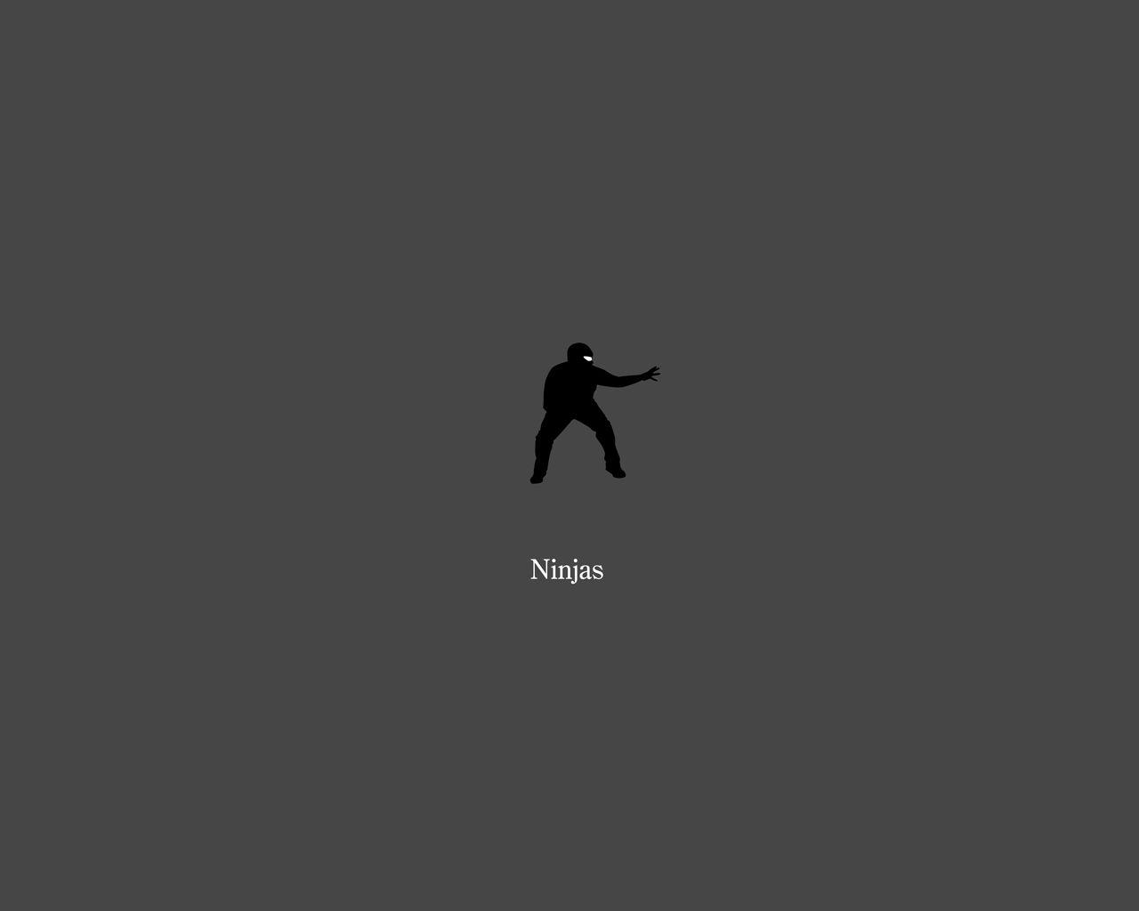 1280x1024 Ninja Wallpaper and Background Imagex1024