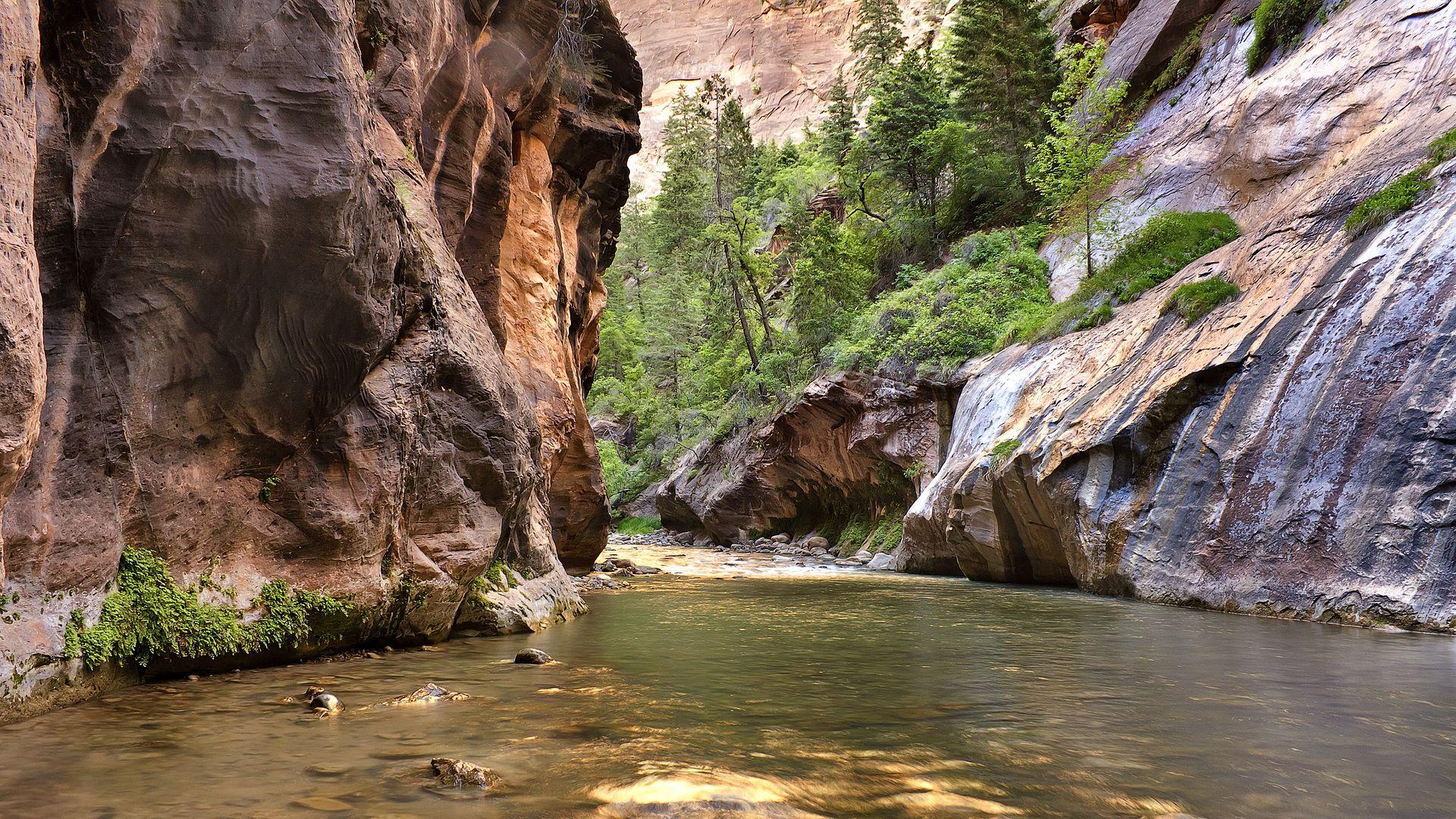 1920x1080 Zion National Park Winter Narrows HD Wallpaper, Background Image