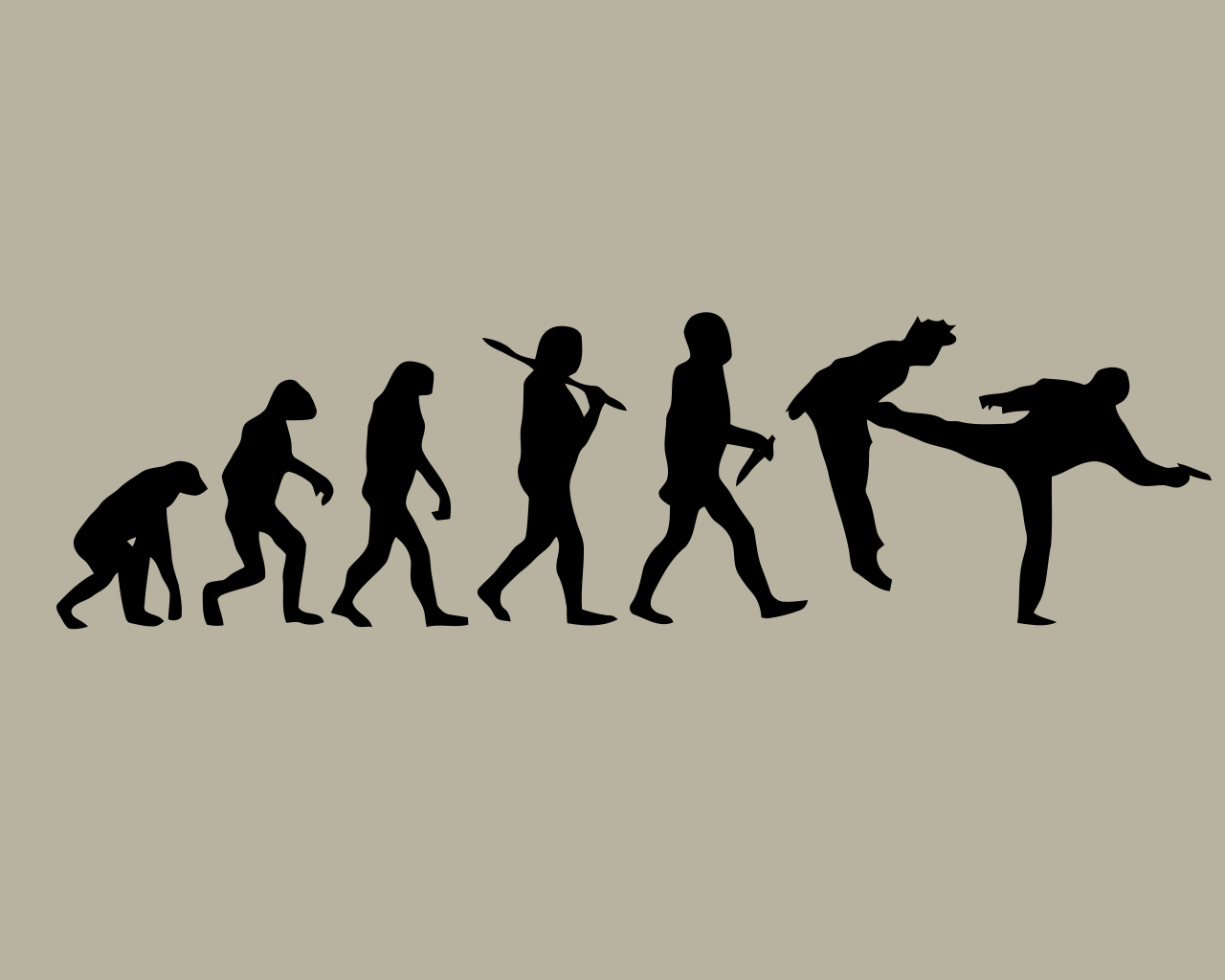 1280x1024 Humor Wallpaper