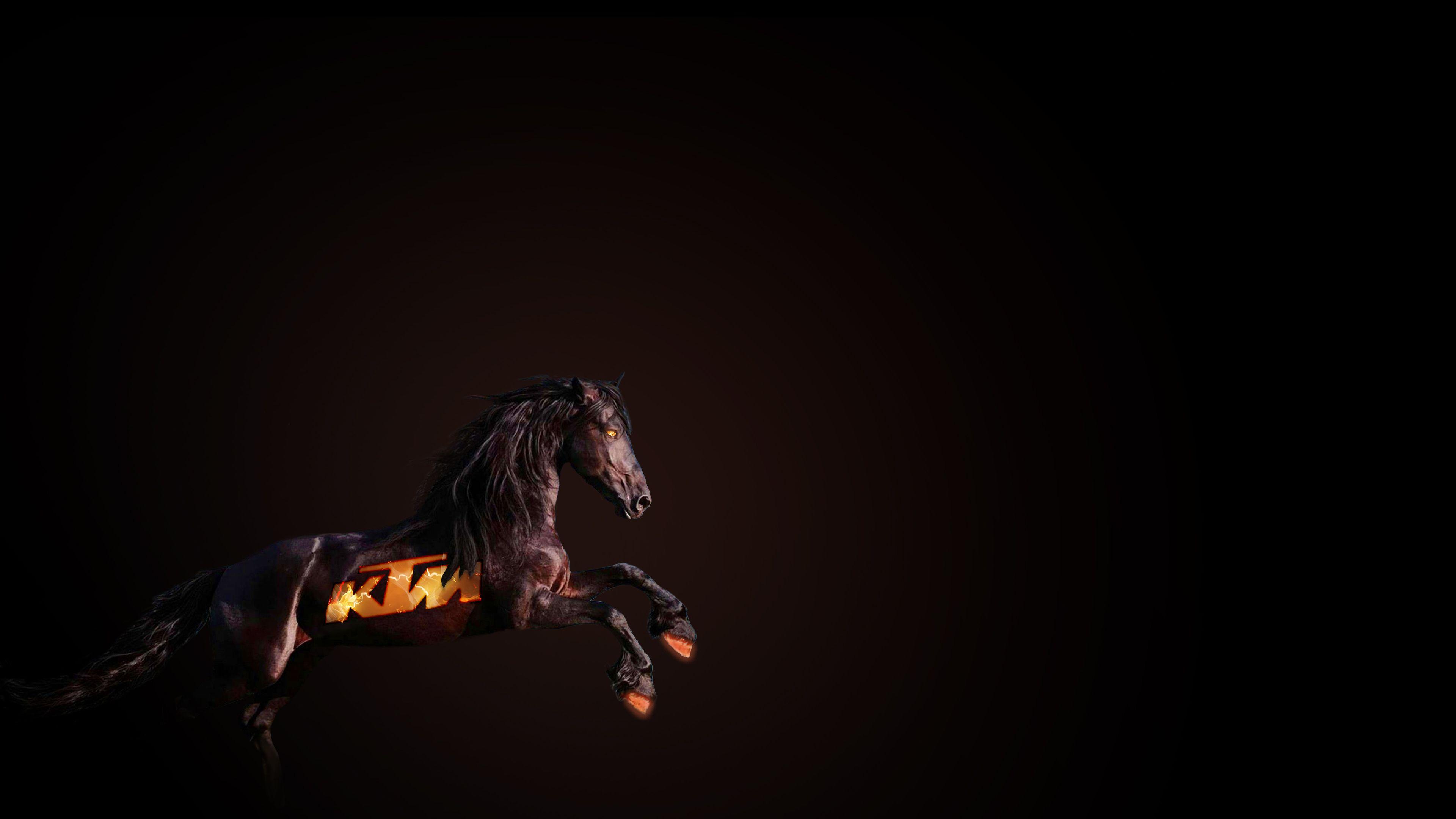 3840x2160 Funny Wallpaper