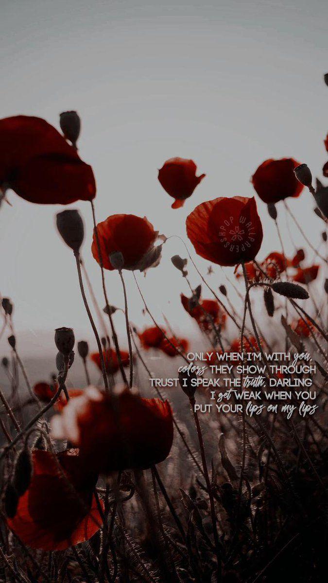 675x1200 Kpop Wallpaper