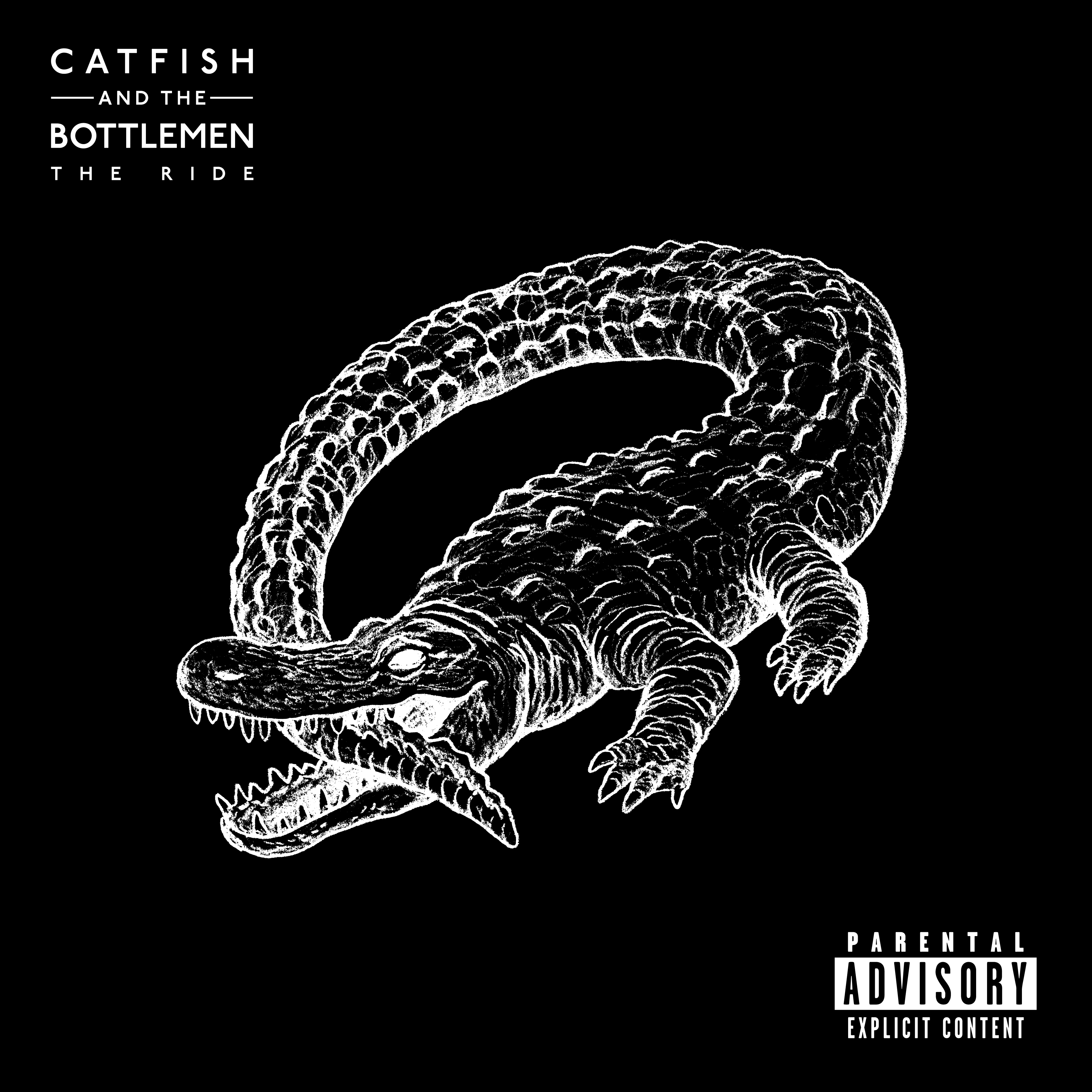 Catfish and the Bottlemen Wallpapers Top Free Catfish and the