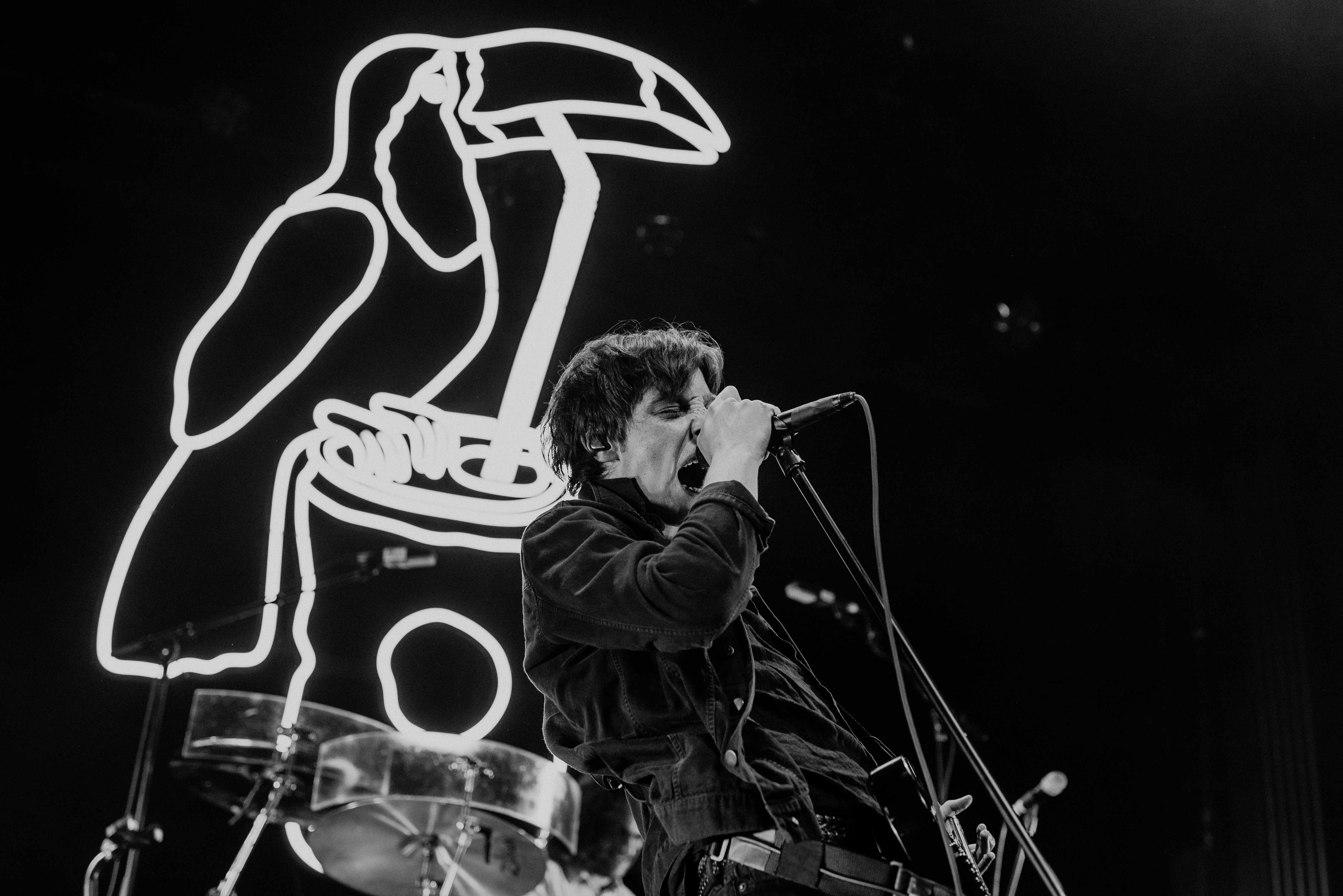5803x3874 Review and the Bottlemen Delivered at the Ogden