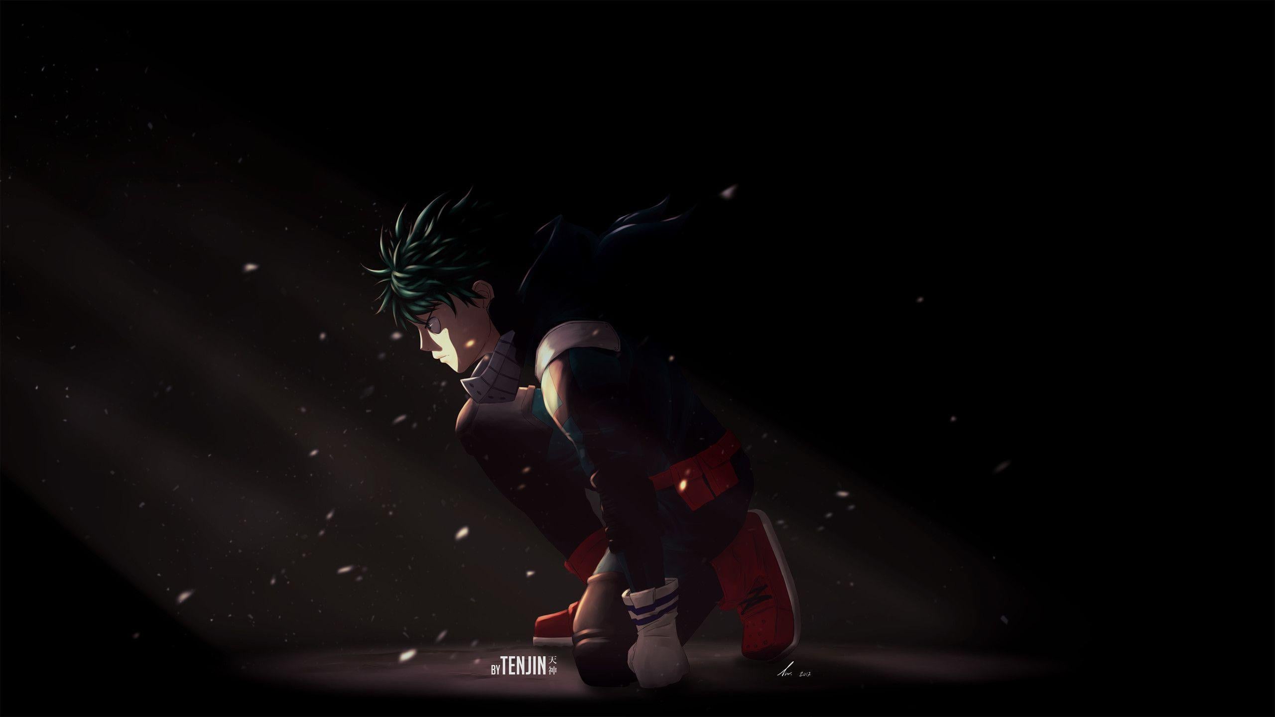 2560x1440 Deku My Hero Academia 1440P Resolution HD 4k Wallpaper, Image, Background, Photo and Picture