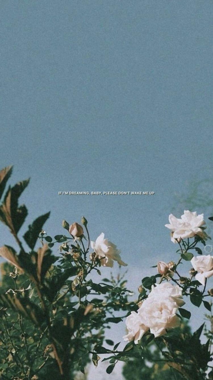 750x1334 ✰P I N T E R E S T : maevecatherinee✰. Sfondi con citazioni
