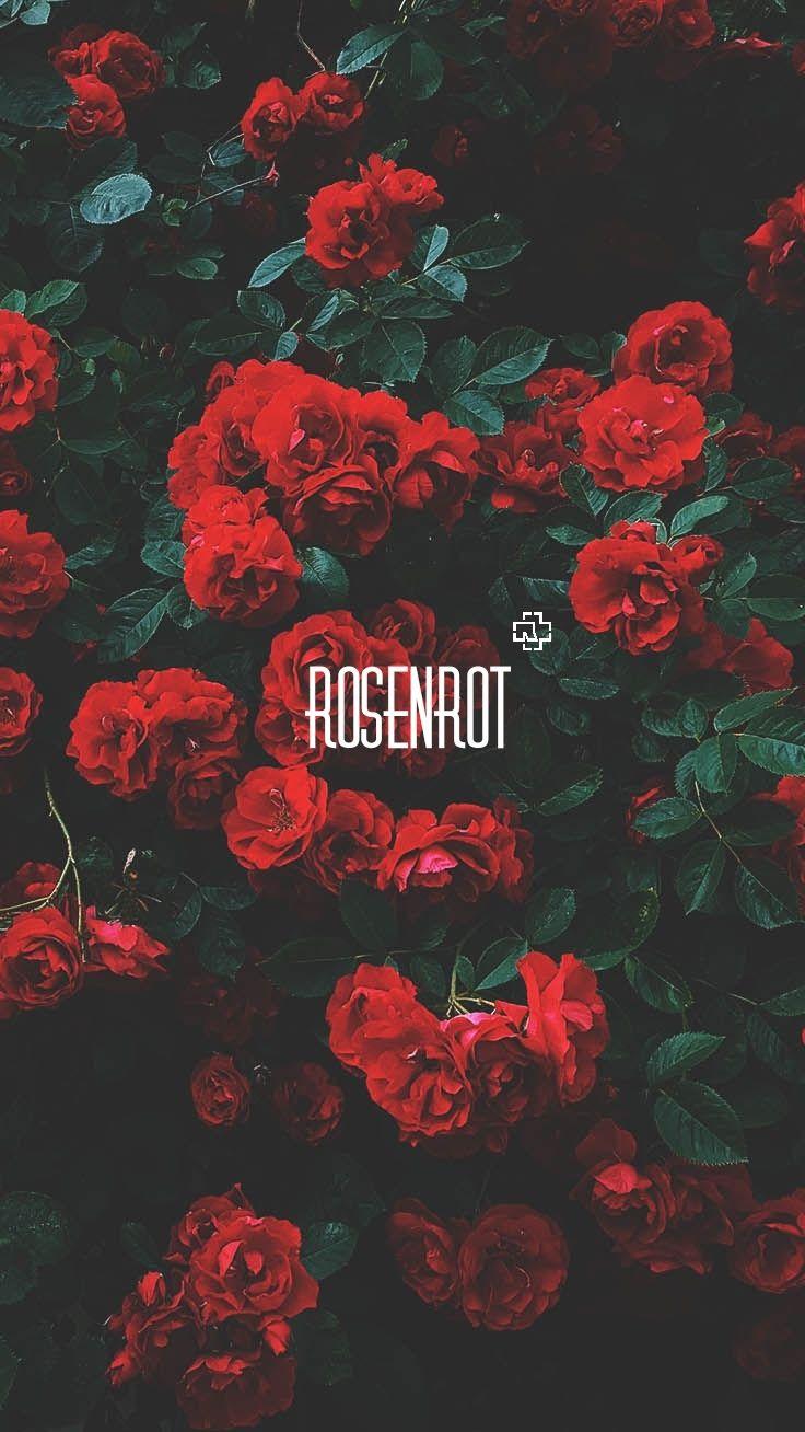 736x1308 Rammstein Aesthetic Wallpaper