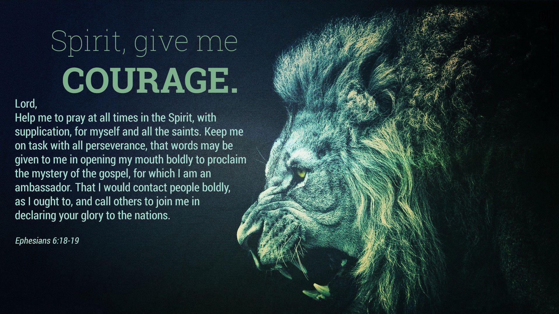 Perseverance Wallpapers - Top Free Perseverance Backgrounds