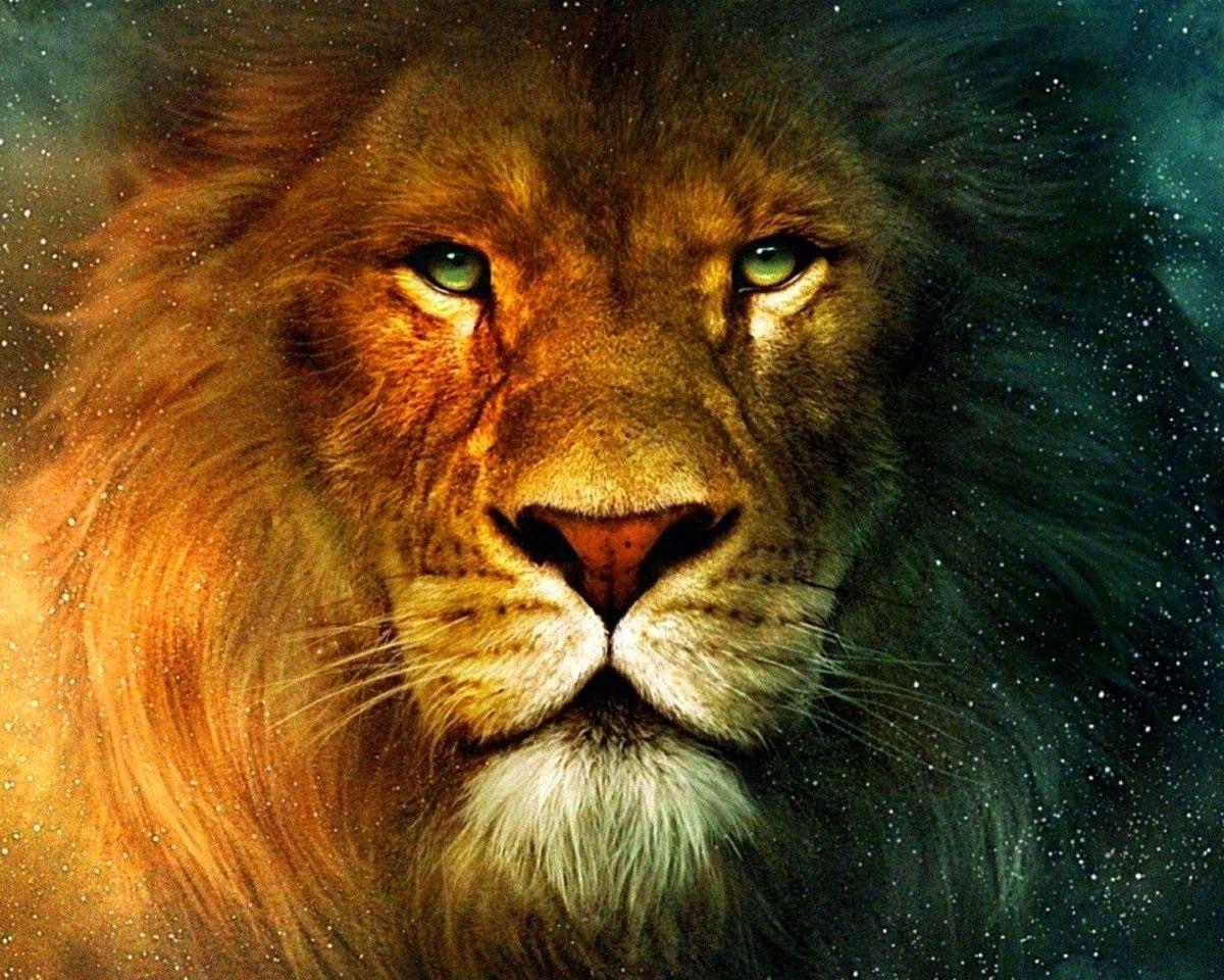 Lion Spirit Wallpapers Top Free Lion Spirit Backgrounds WallpaperAccess