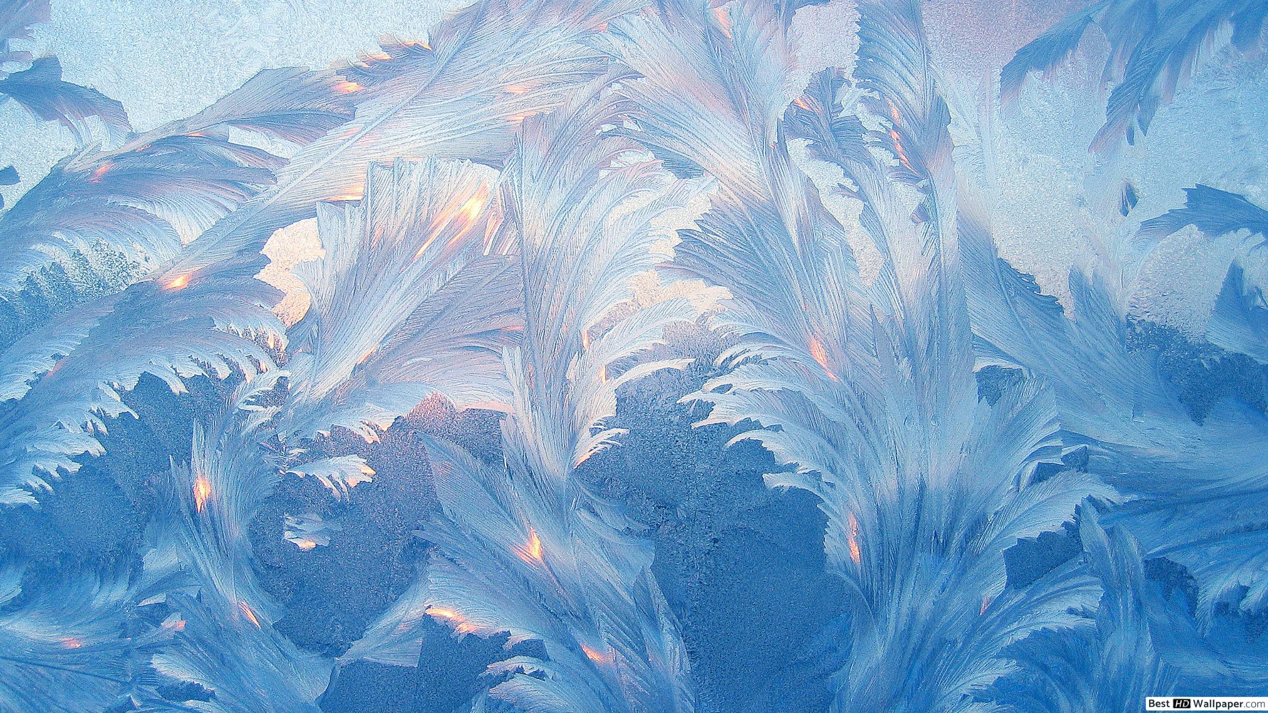 Frost HD Wallpapers - Top Free Frost HD Backgrounds - WallpaperAccess