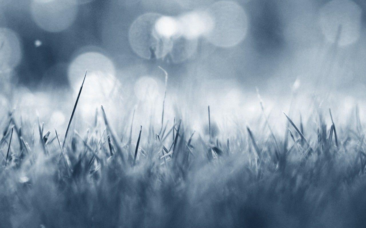 1280x800 Frost Wallpaper 29706 1280x800px