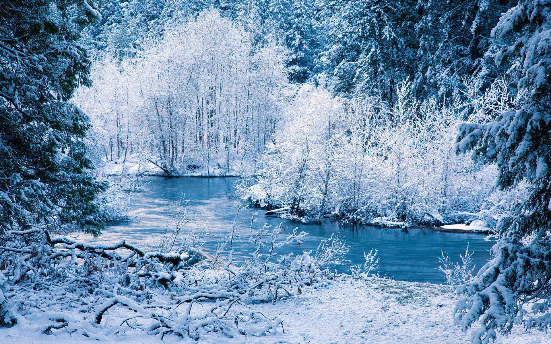 1920x1200 nature, Landscapes, Winter, Snow, Frost, Rivers, Shore, Trees