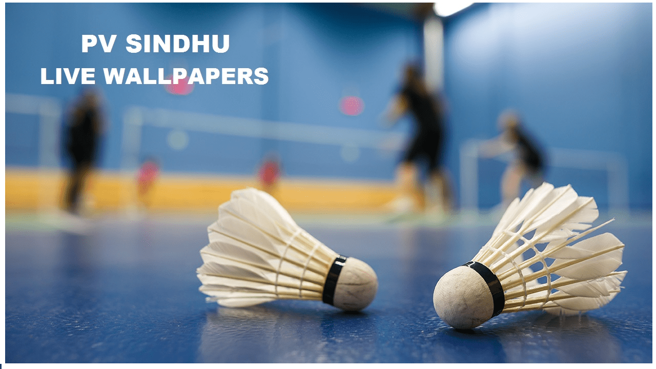 1280x720 PV Sindhu Live Wallpaper: Appstore for Android