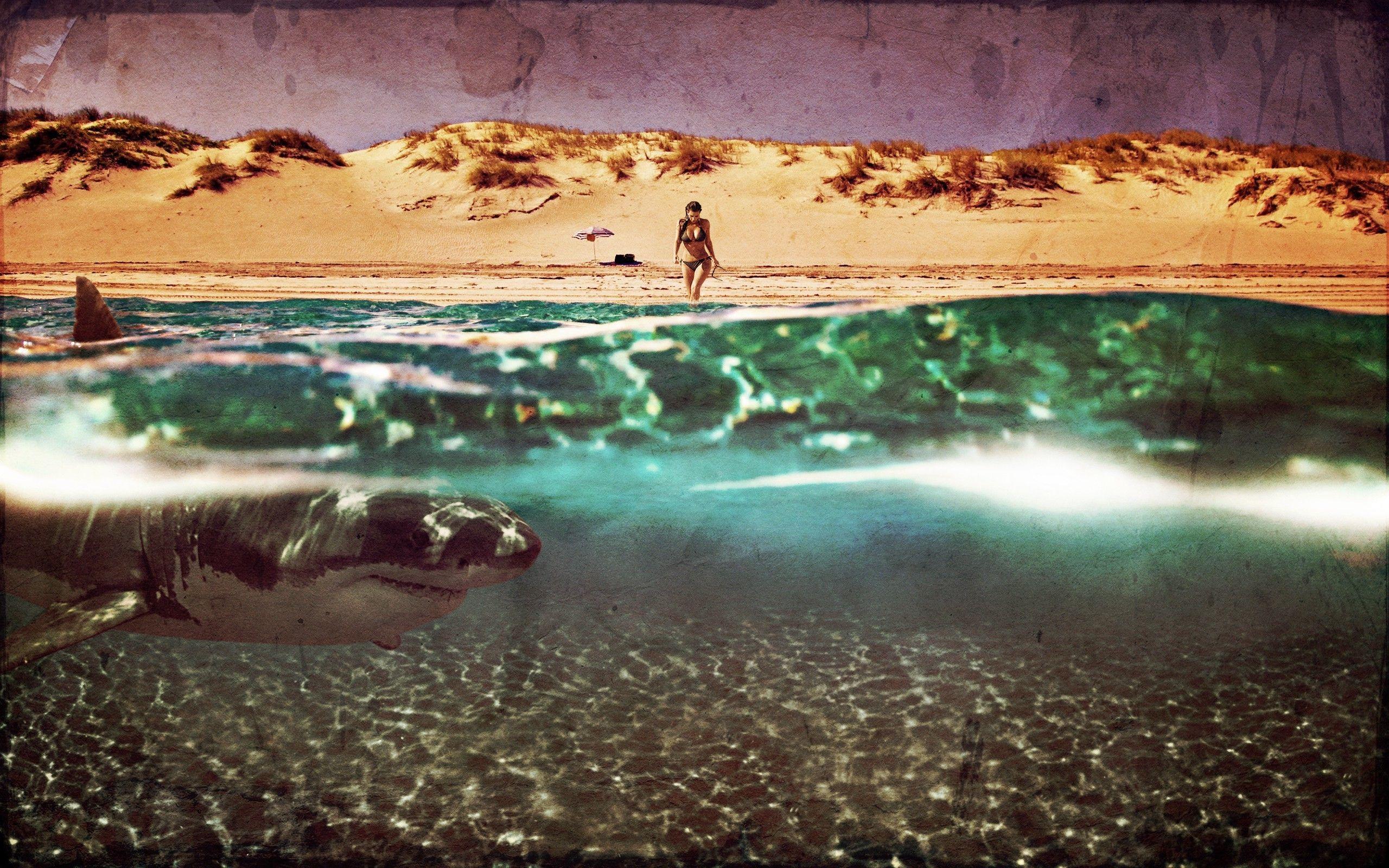 2560x1600 kim kardashian shark beach water vintage photohopped Wallpaper