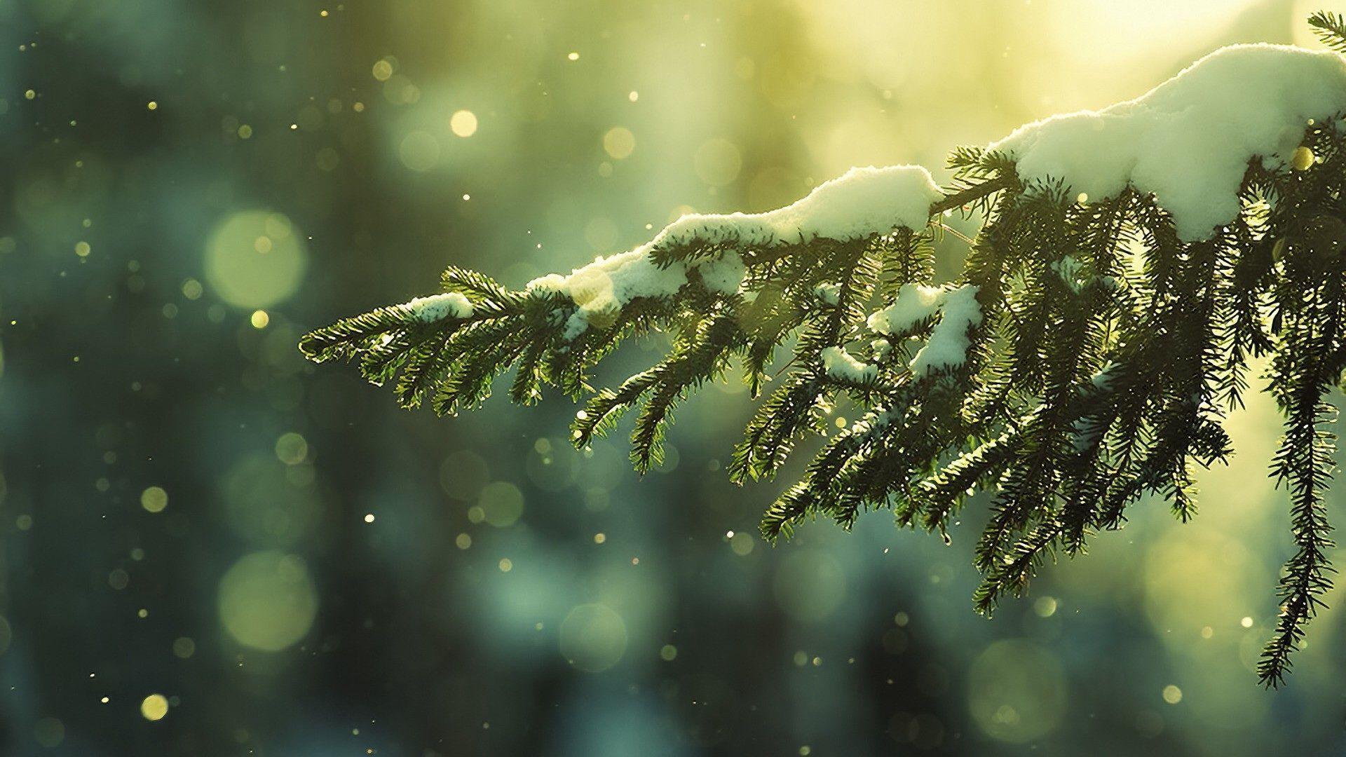 1920x1080 Winter HD Wallpaperx1080