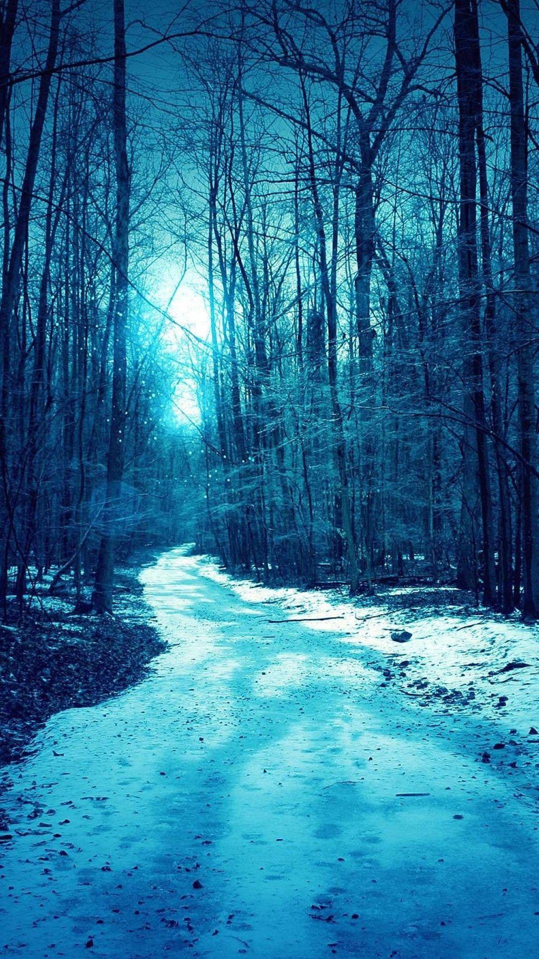 1080x1920 Amish Winter Landscapes Wallpaper. Amish